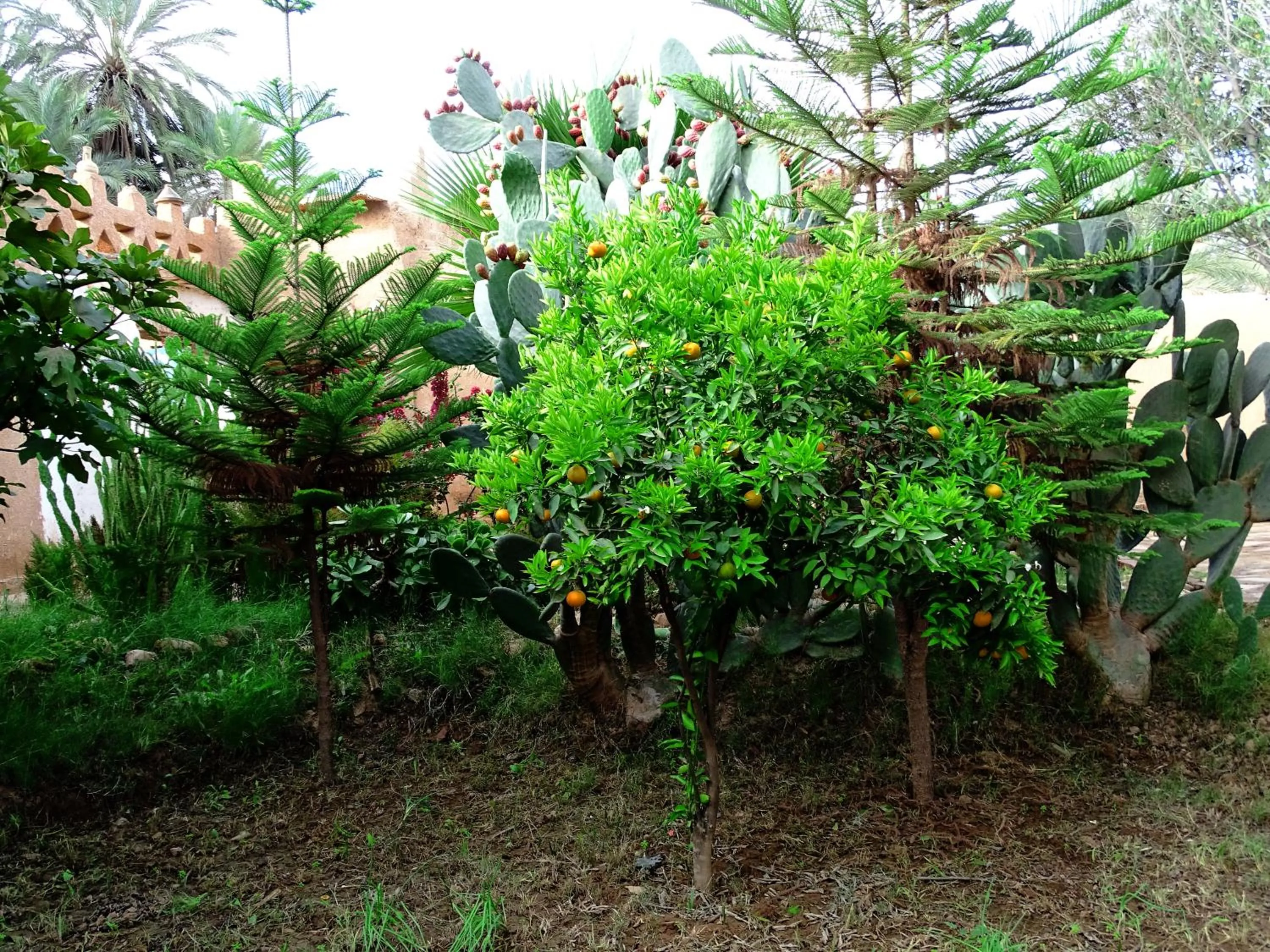 Place of worship in Maison Nomades