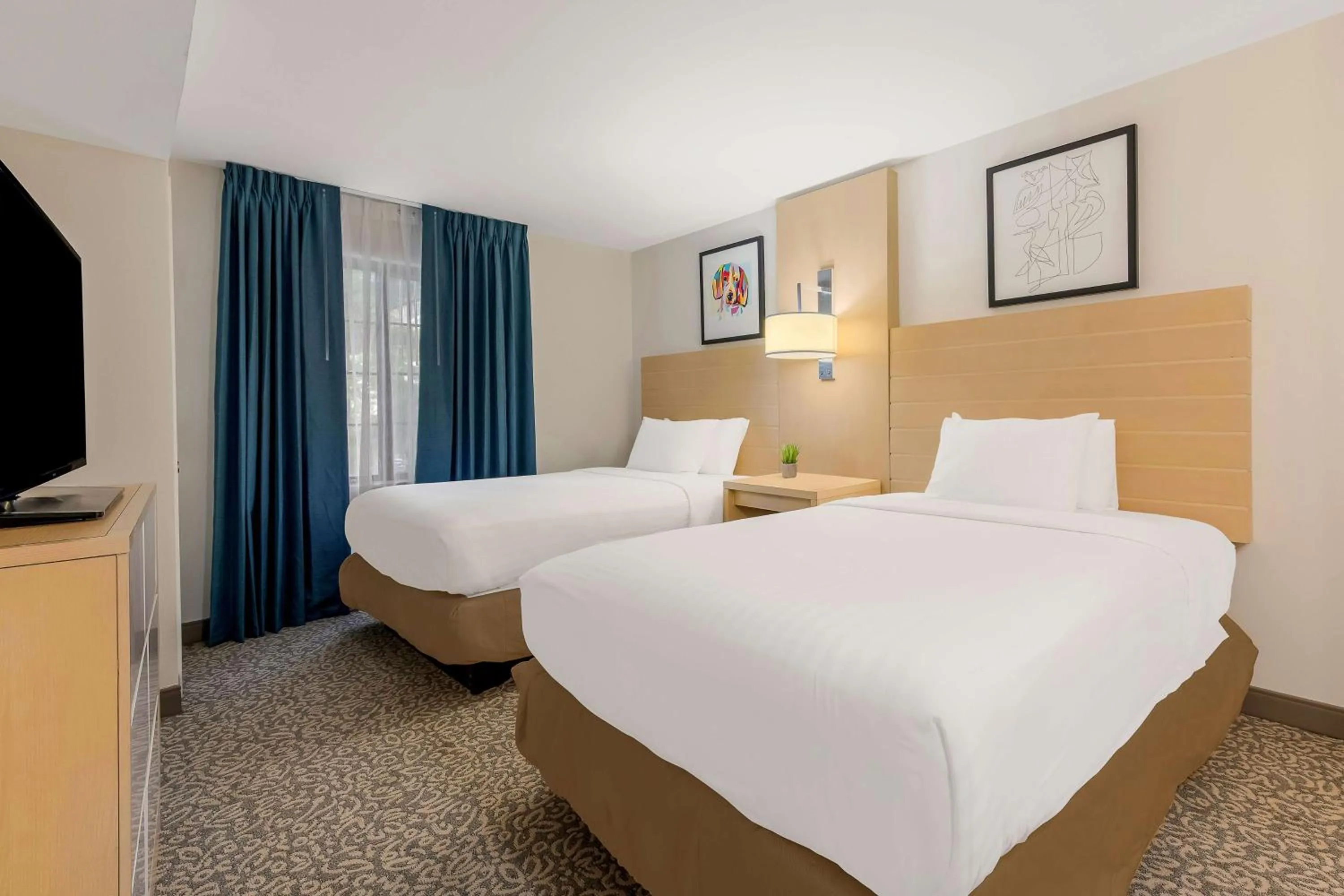 Bedroom, Bed in Sonesta ES Suites Charlotte Arrowood