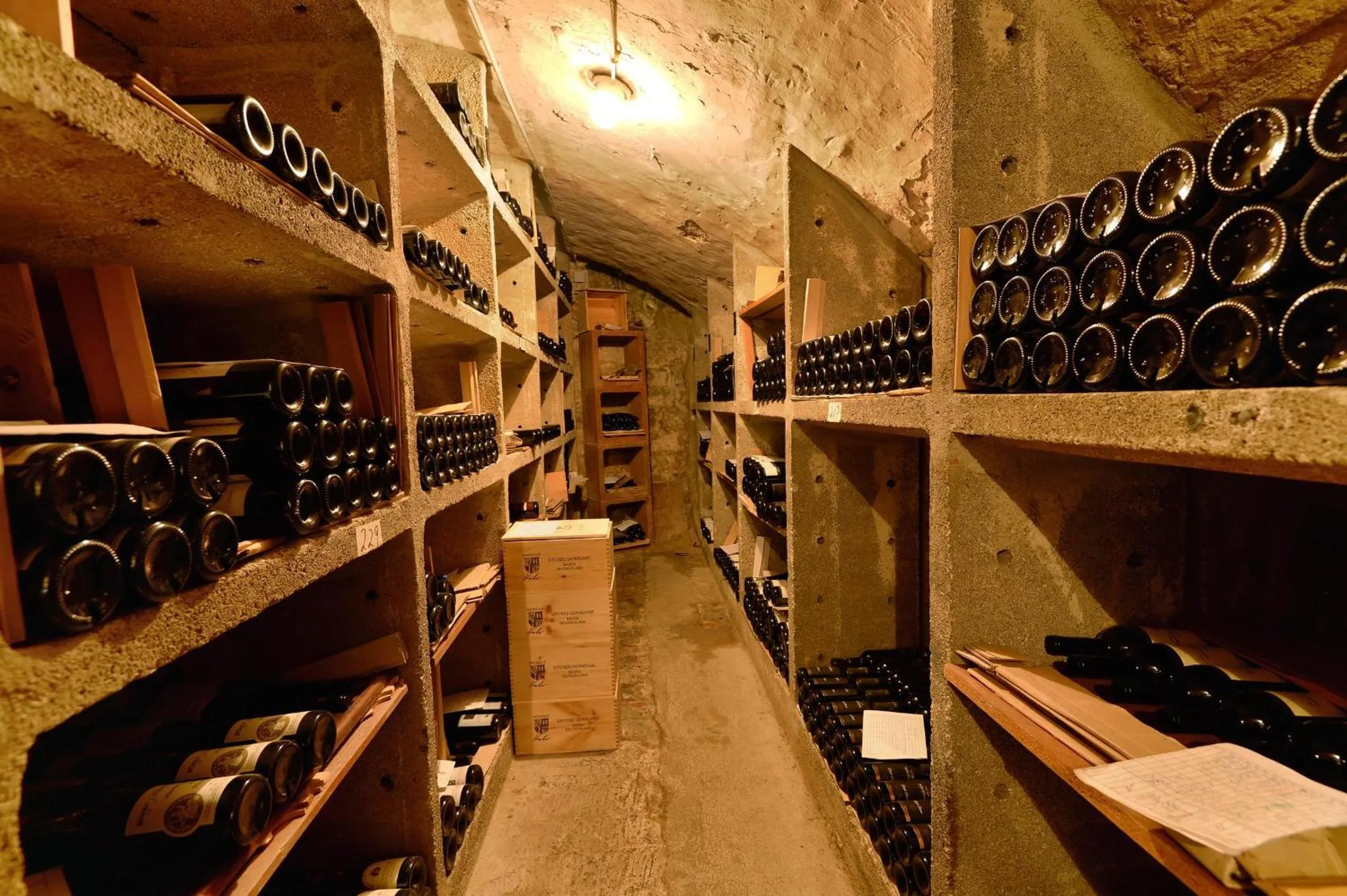 Area and facilities in Hotel Adler Asperg