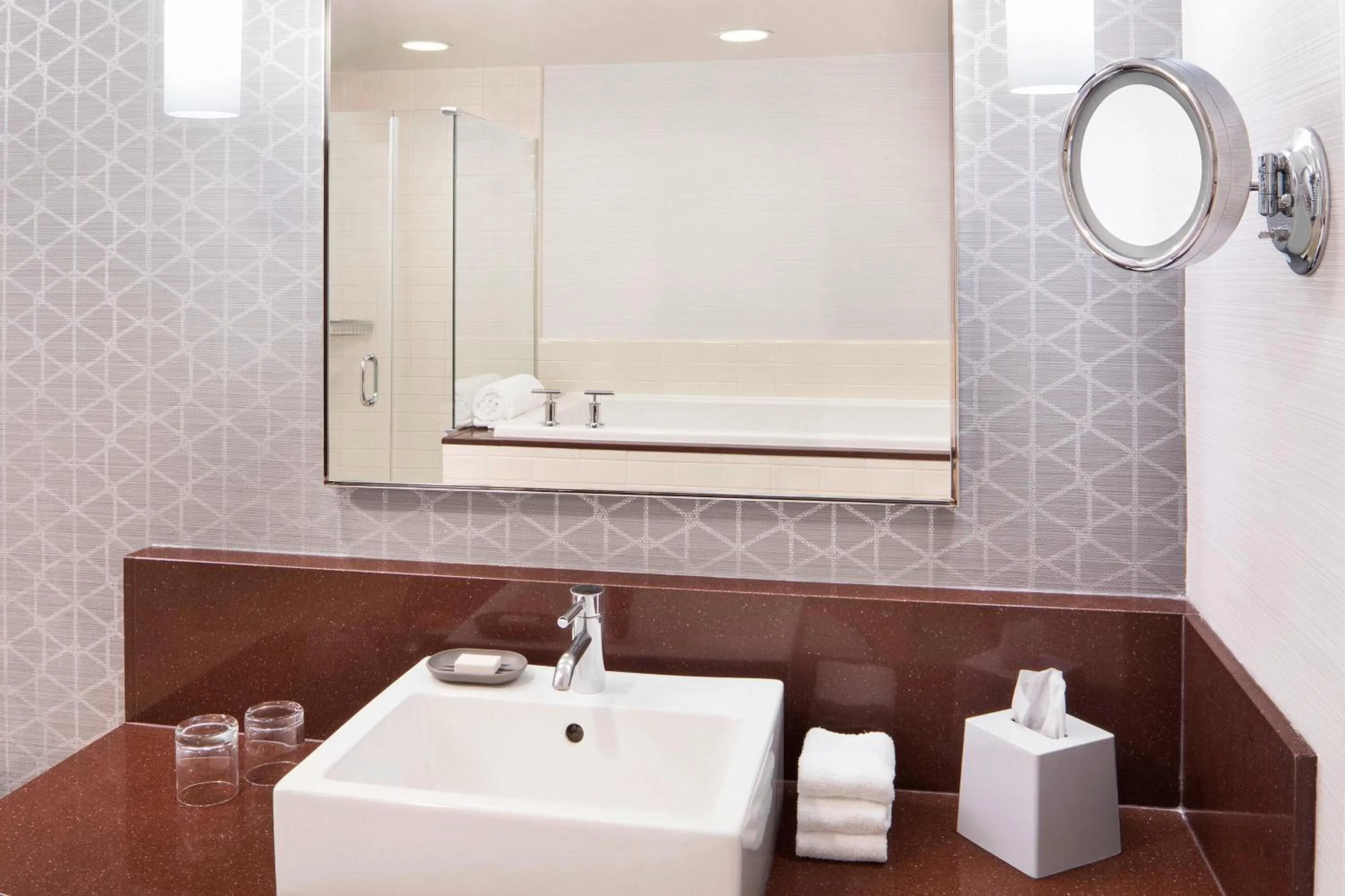 Bathroom in Le Meridien Arlington