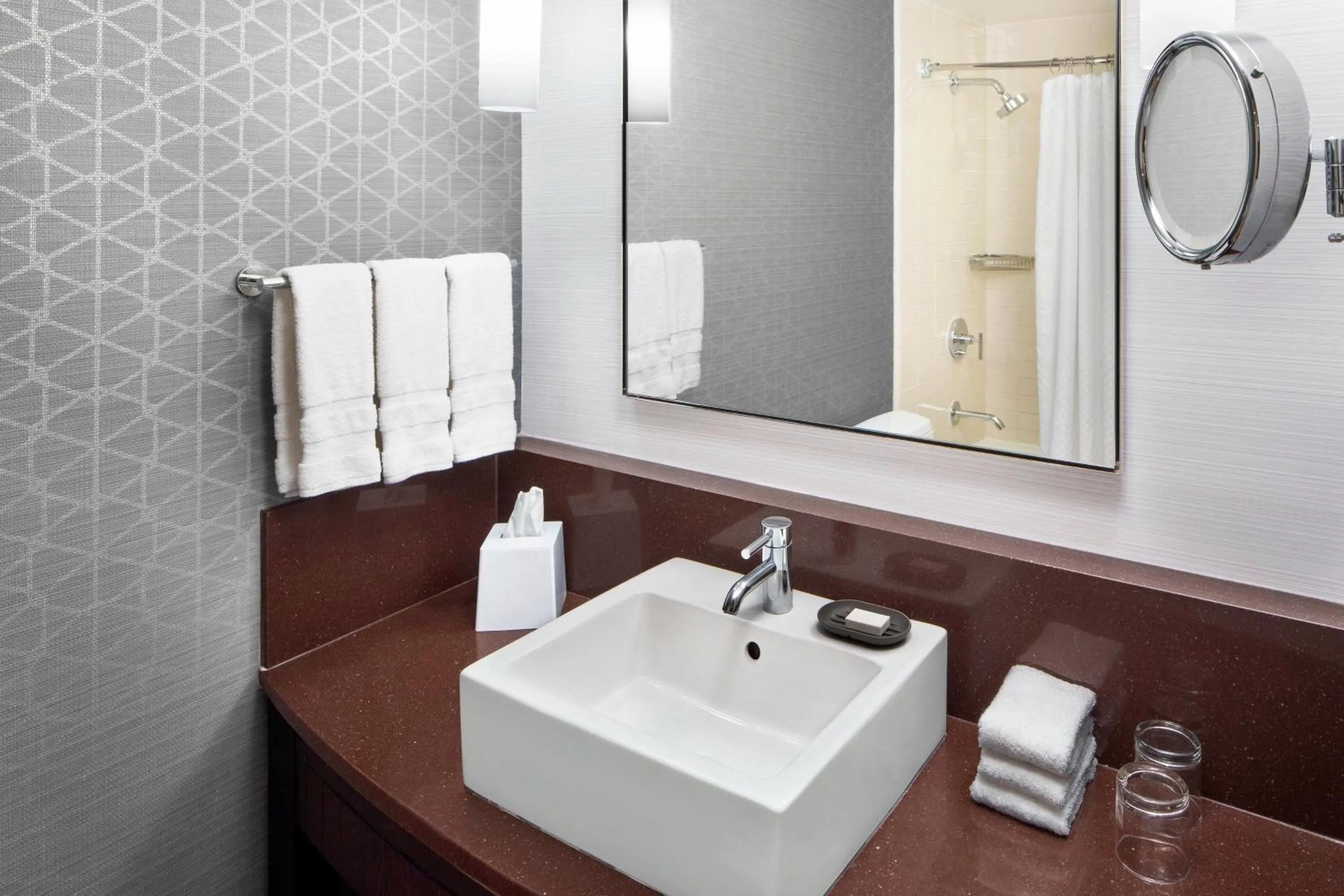 Bathroom in Le Meridien Arlington