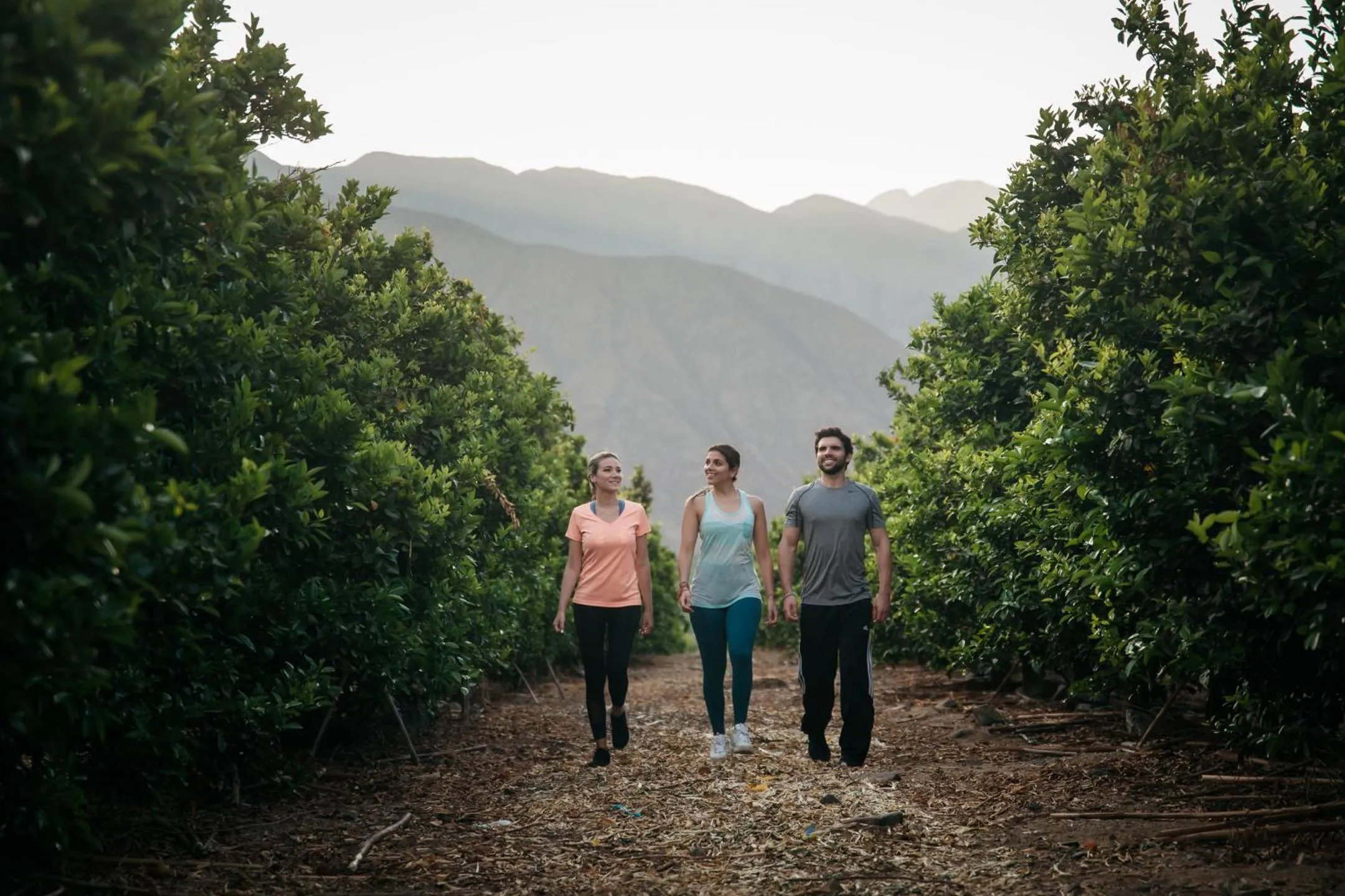 Off site in Empedrada Ranch & Lodge - Hotel Asociado Casa Andina