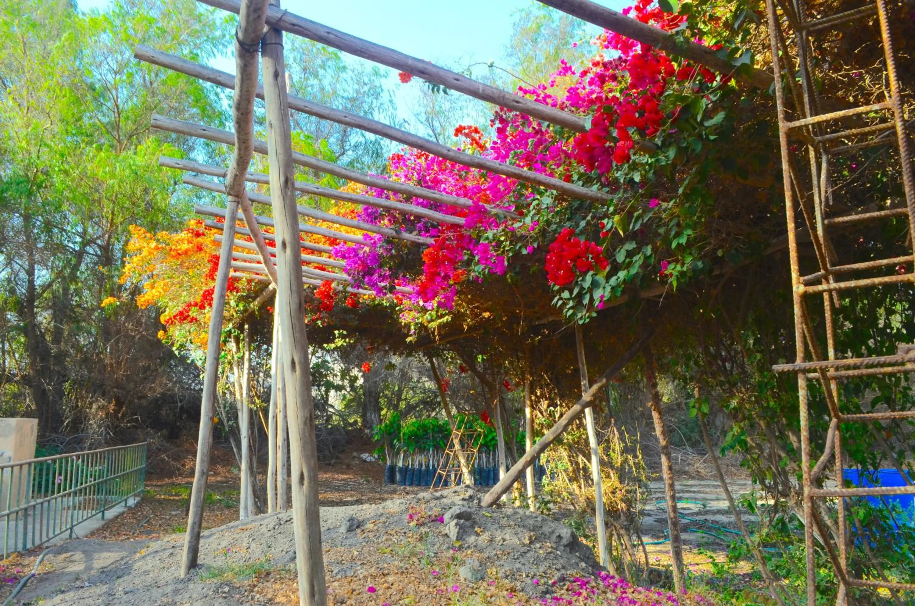 Hiking in Empedrada Ranch & Lodge - Hotel Asociado Casa Andina