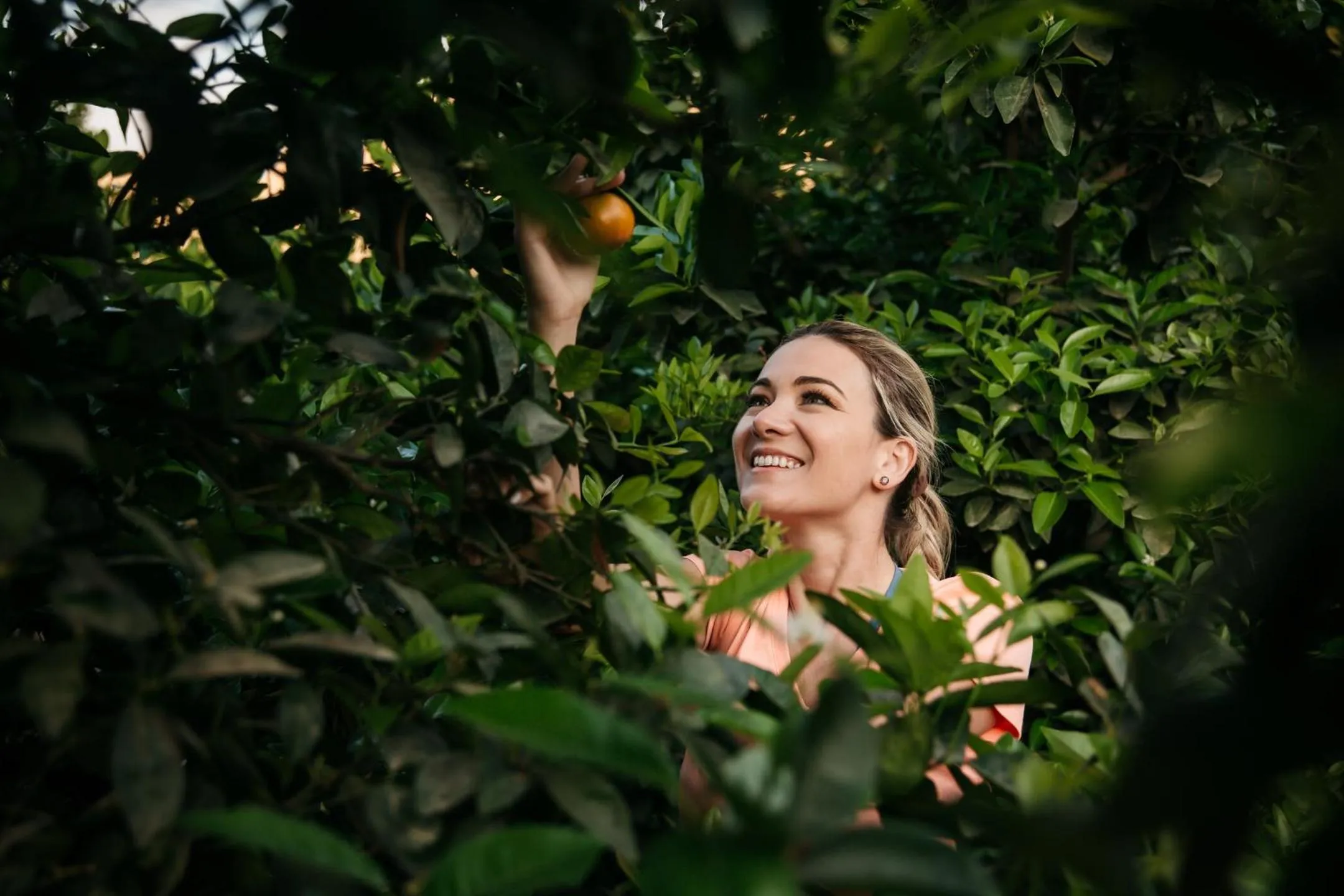 Off site in Empedrada Ranch & Lodge - Hotel Asociado Casa Andina