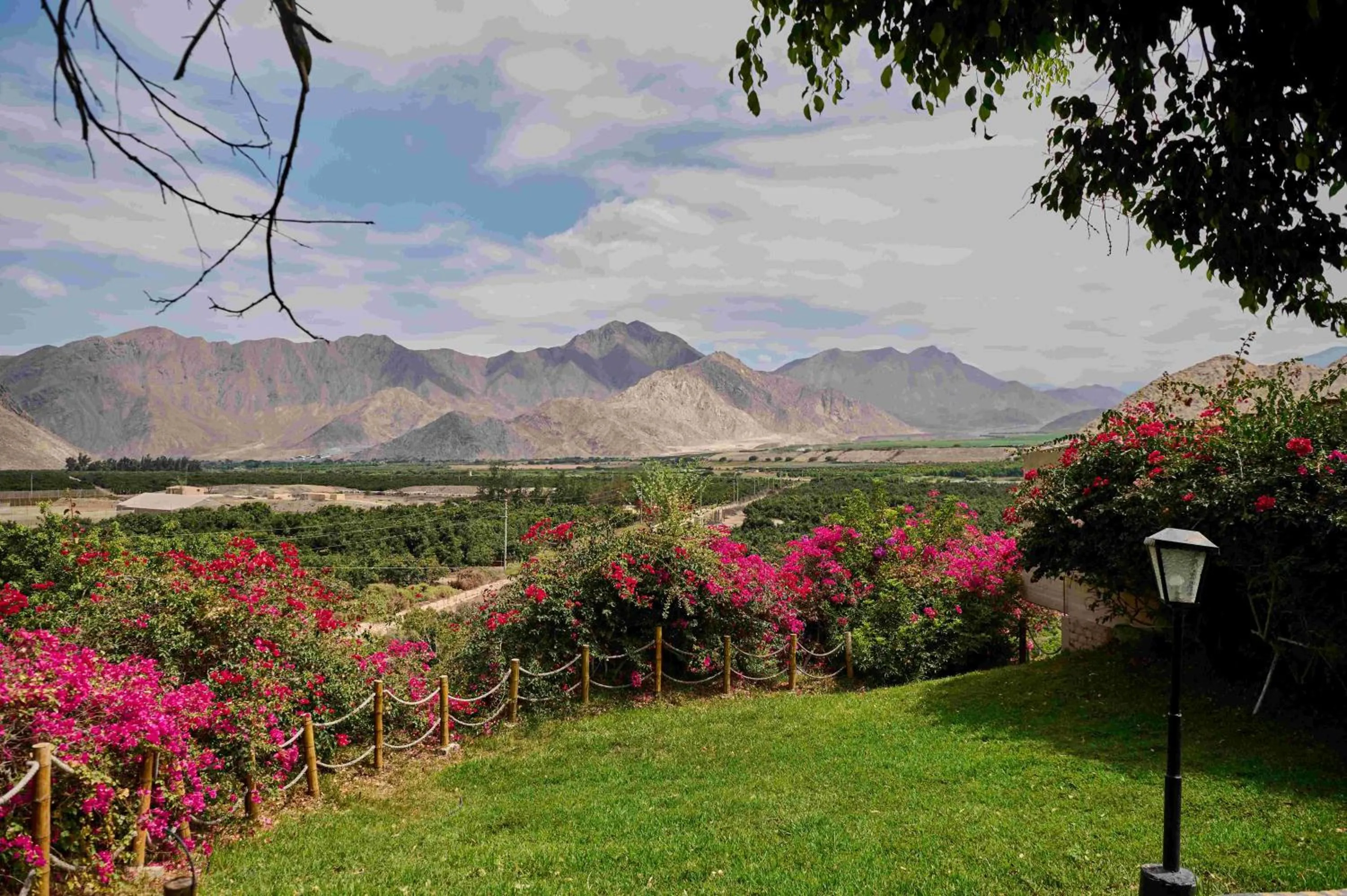 Garden view in Empedrada Ranch & Lodge - Hotel Asociado Casa Andina
