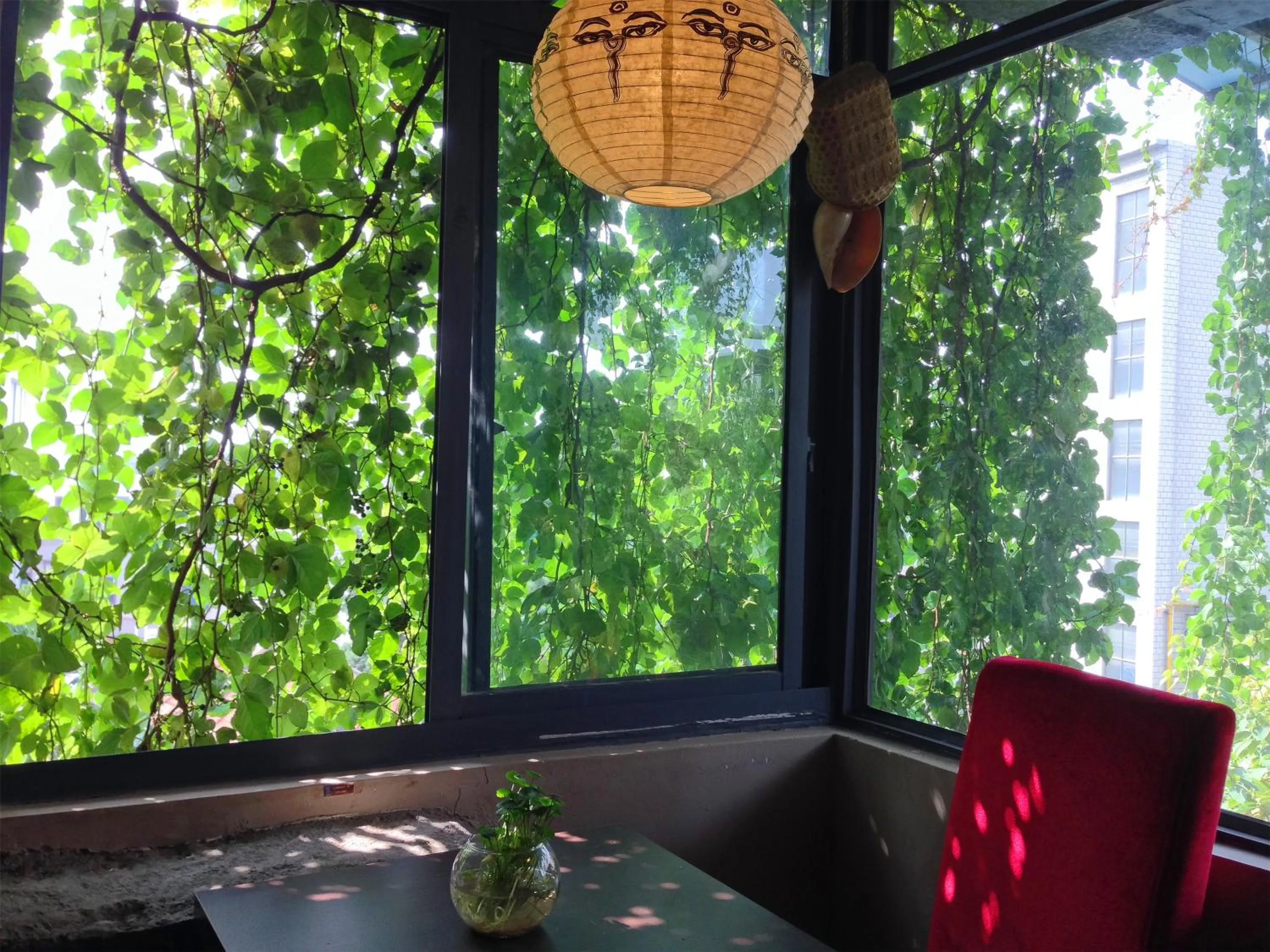 Lounge or bar in Kunming Upland International Youth Hostel near the city center ,2 mins walk to the subway, 2 mins walk to the Green Lake, Close to Yuan tong Temple, Old street, Yunnan University, English-speaking service convenient payment and visa cards are accepted