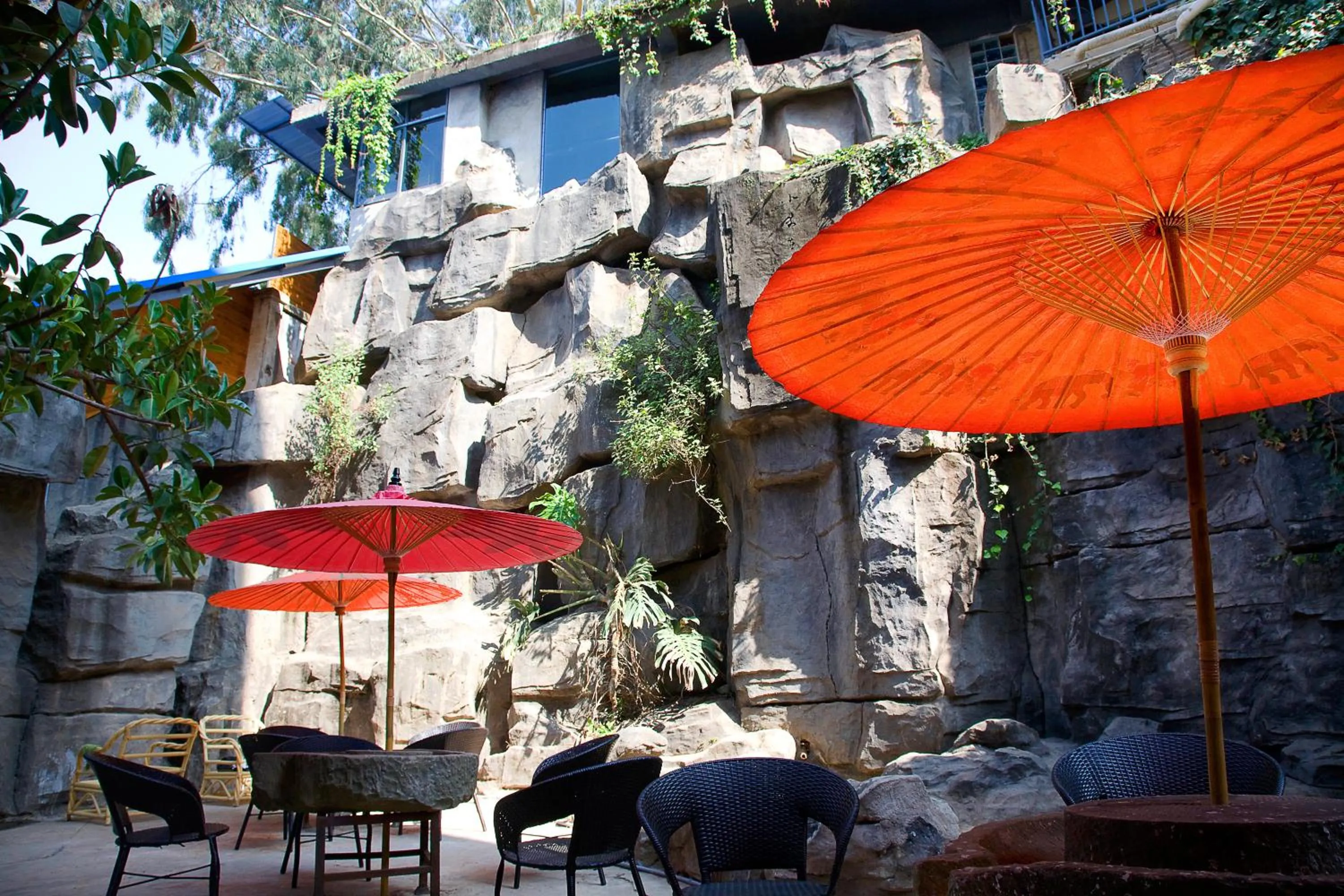 Garden in Kunming Upland International Youth Hostel near the city center ,2 mins walk to the subway, 2 mins walk to the Green Lake, Close to Yuan tong Temple, Old street, Yunnan University, English-speaking service convenient payment and visa cards are accepted