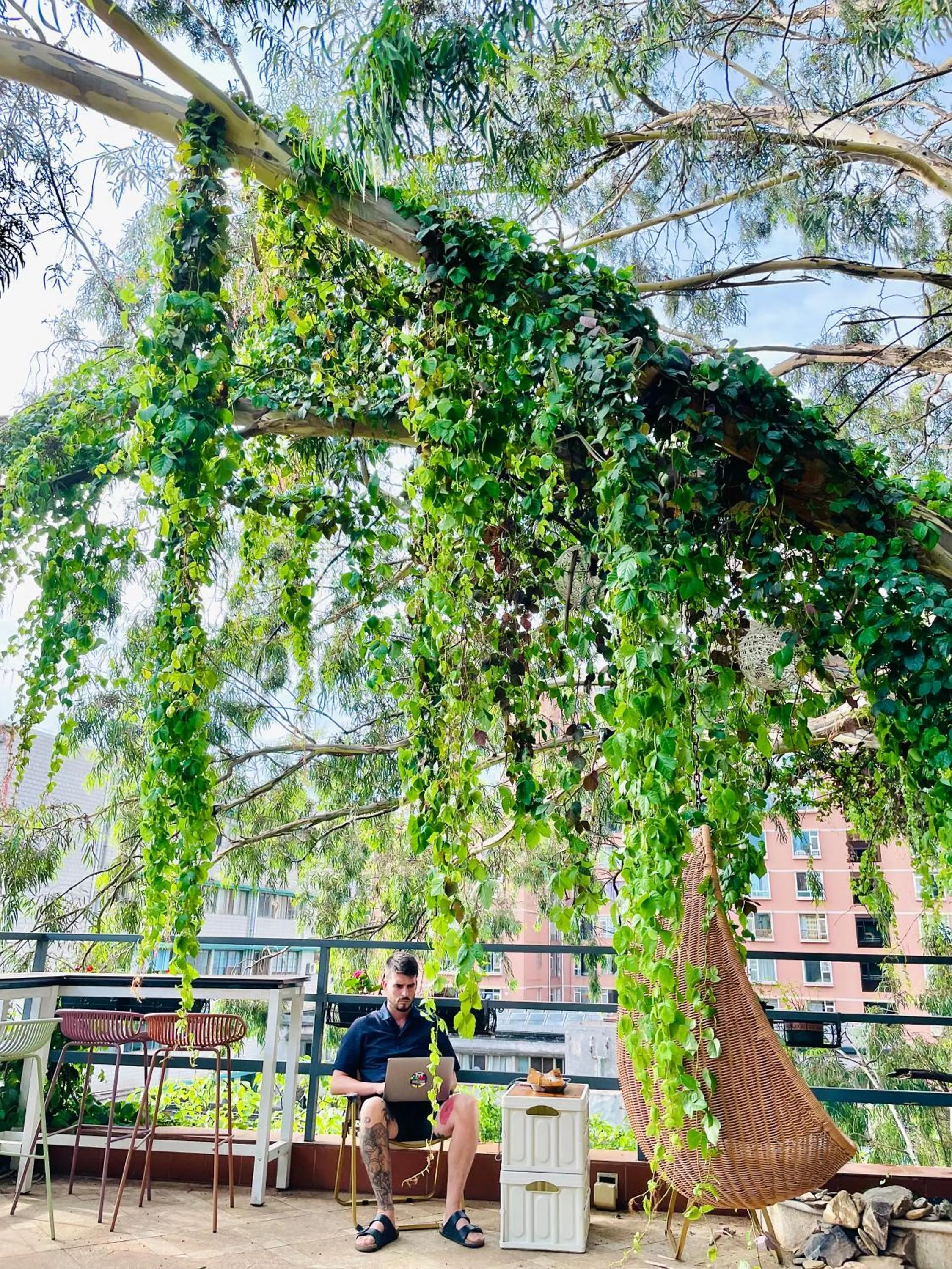 Property building in Kunming Upland International Youth Hostel near the city center ,2 mins walk to the subway, 2 mins walk to the Green Lake, Close to Yuan tong Temple, Old street, Yunnan University, English-speaking service convenient payment and visa cards are accepted