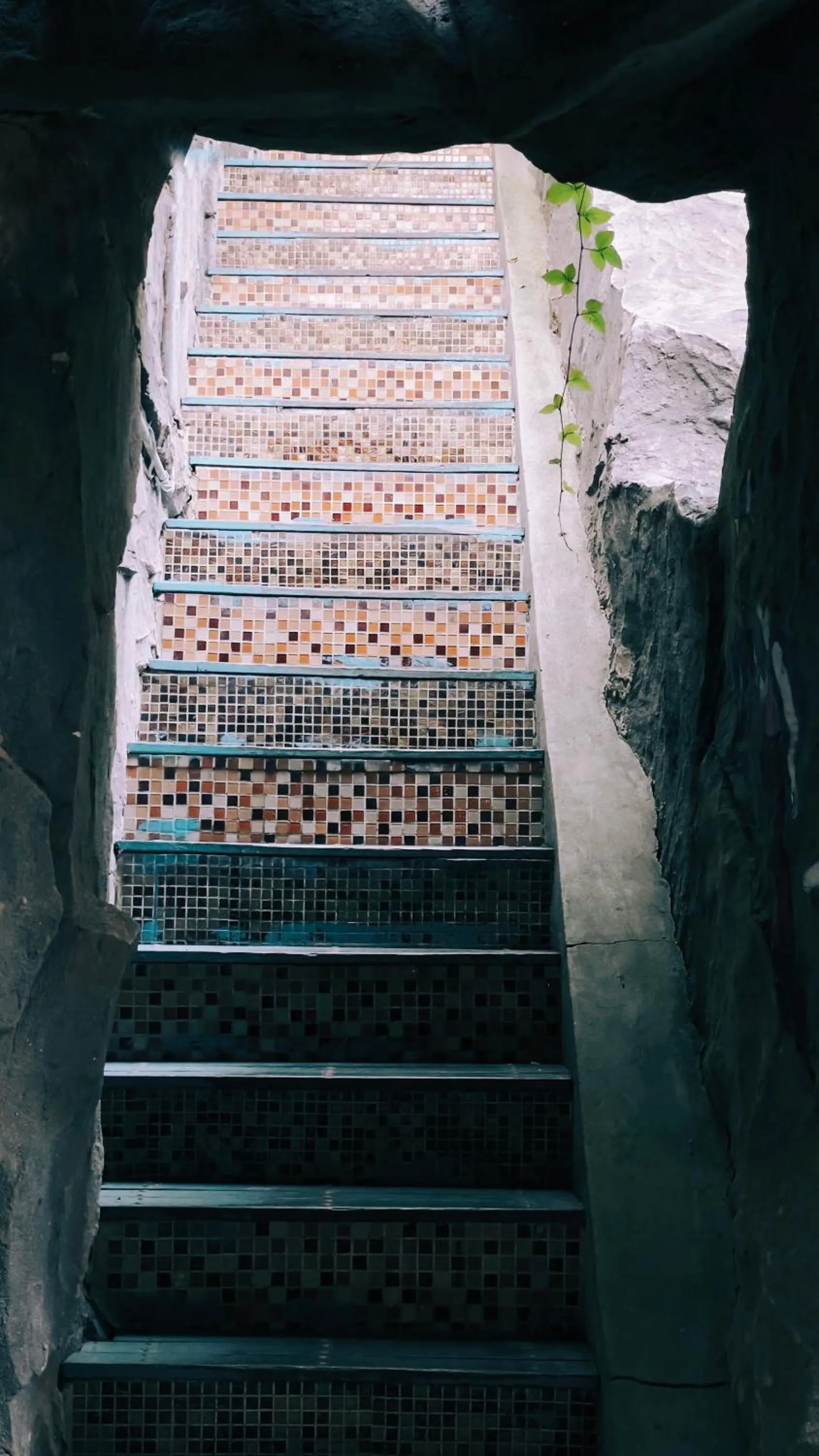 Restaurant/places to eat in Kunming Upland International Youth Hostel near the city center ,2 mins walk to the subway, 2 mins walk to the Green Lake, Close to Yuan tong Temple, Old street, Yunnan University, English-speaking service convenient payment and visa cards are accepted