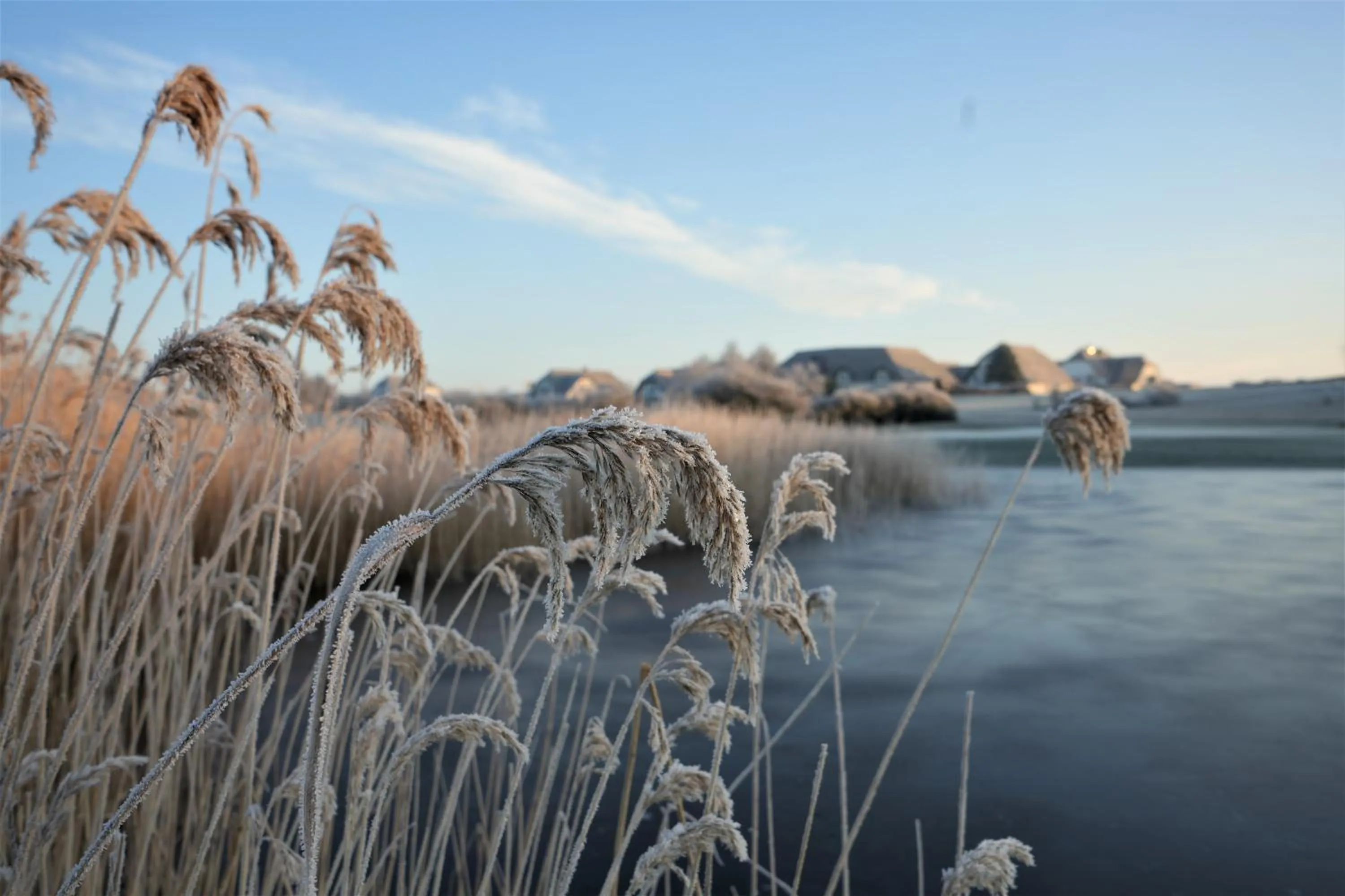 Property building in Balmer See – Hotel•Golf•Spa