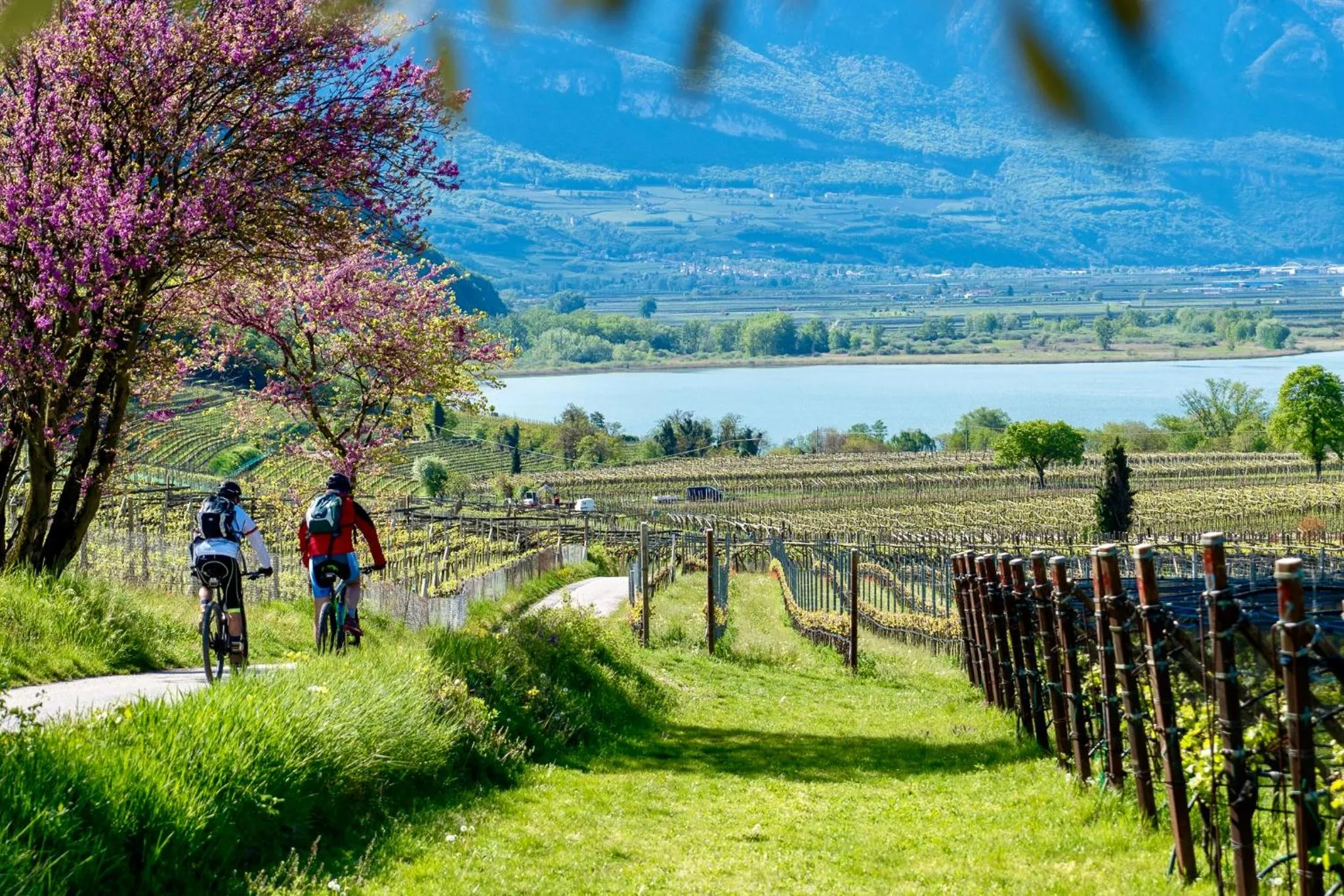 Natural landscape in Chalet Agave