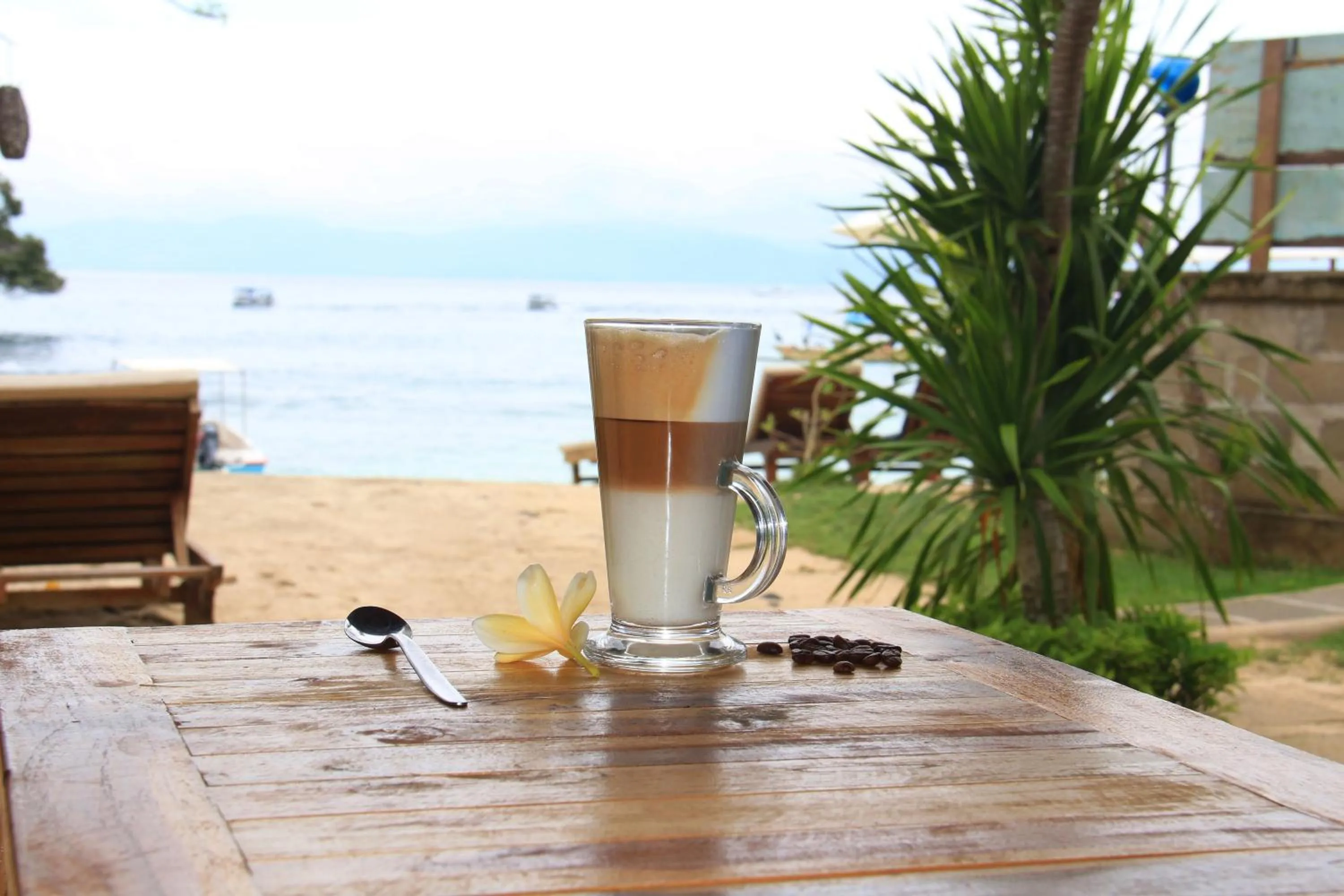 Food and drinks in MolaMola House