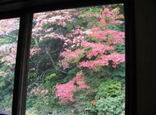 View (from property/room) in Shukubo Kansho-in Temple Sanrakuso