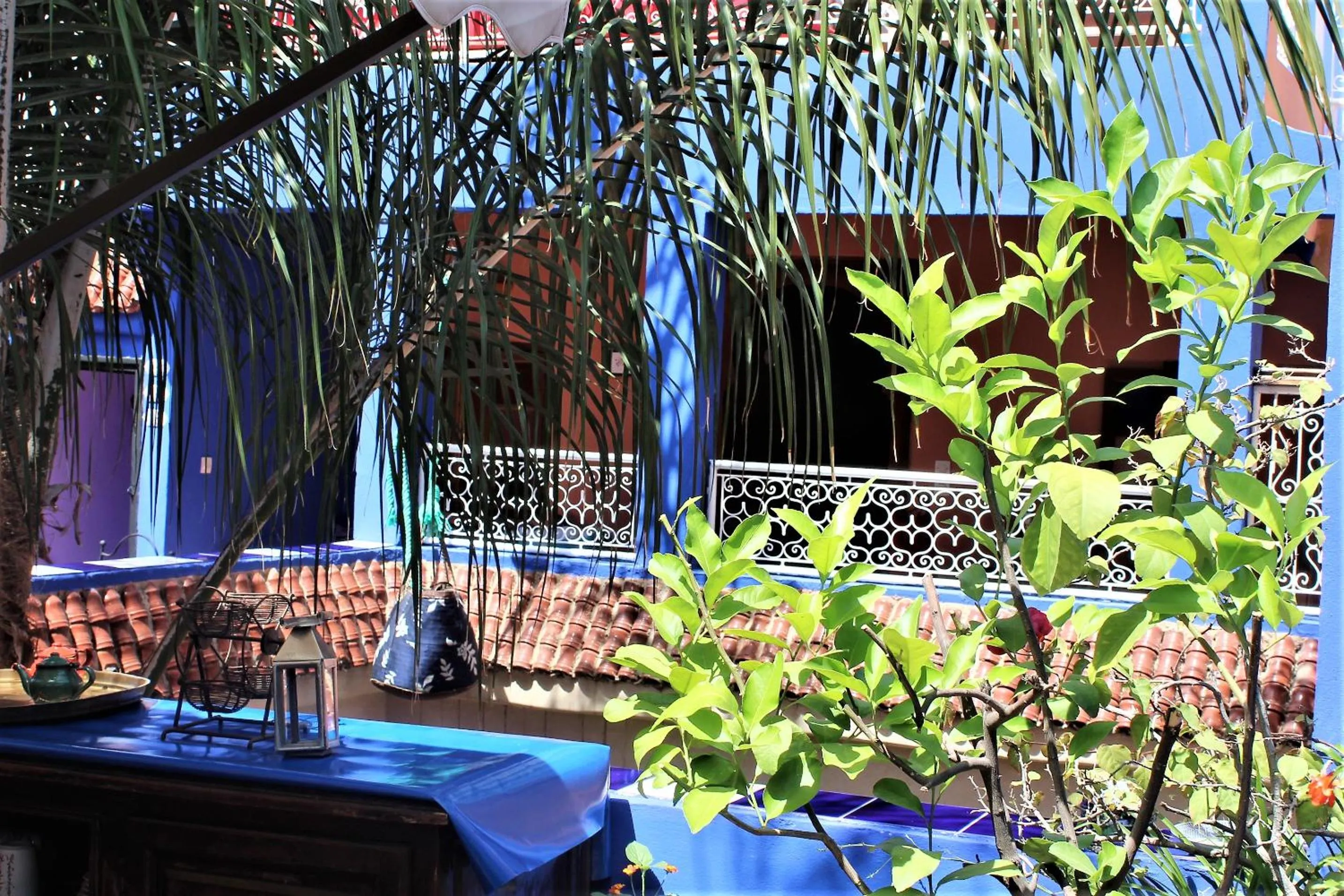 Balcony/Terrace in Riad Alamine