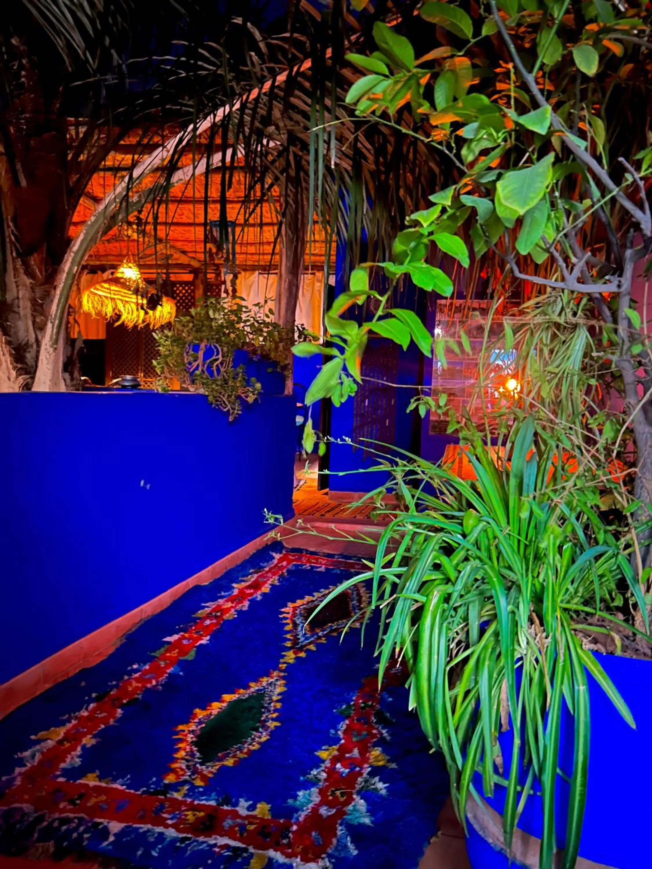 Patio in Riad Alamine