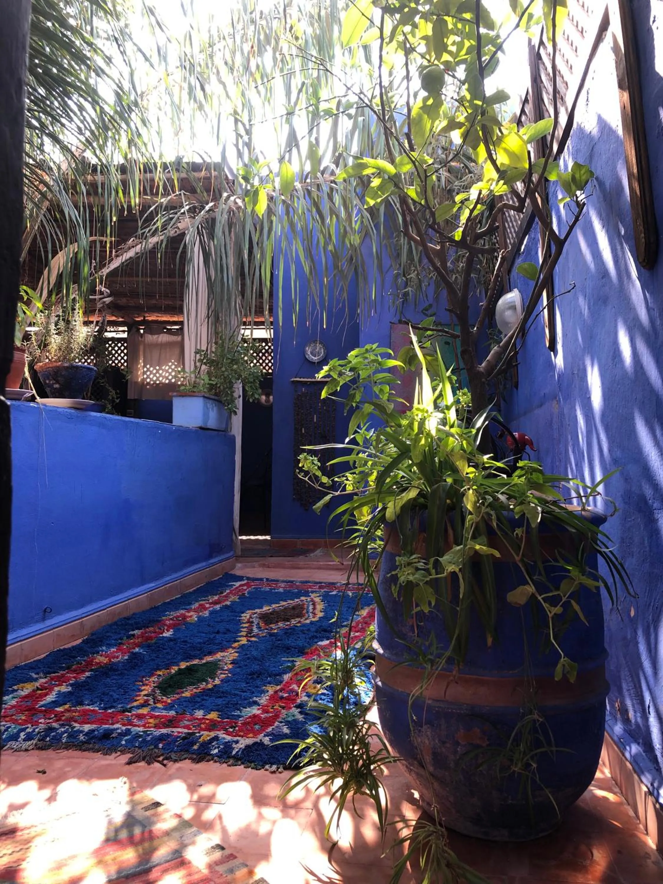 Patio in Riad Alamine