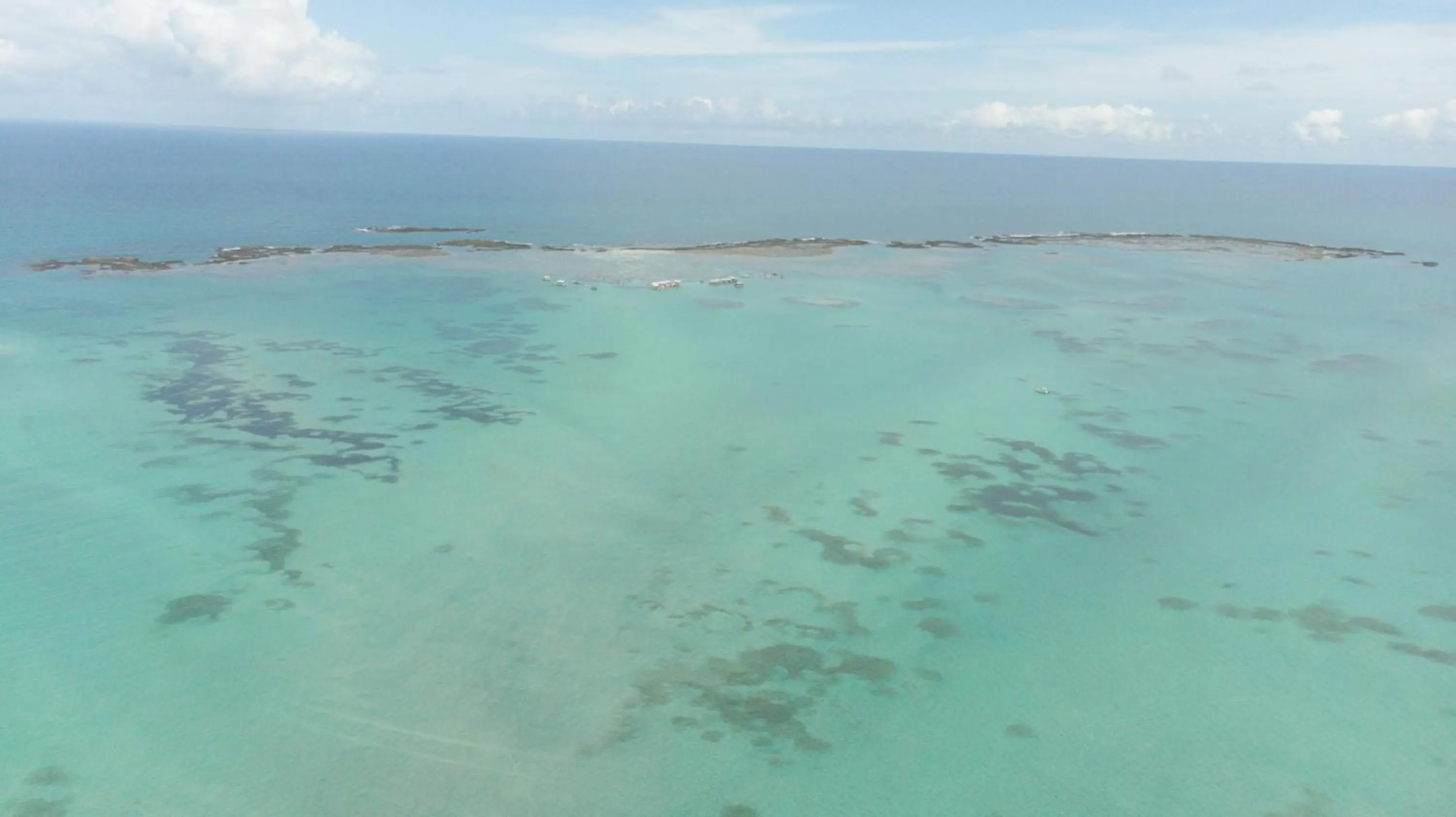 Natural landscape in Chale 48 Maragogi Village Gales