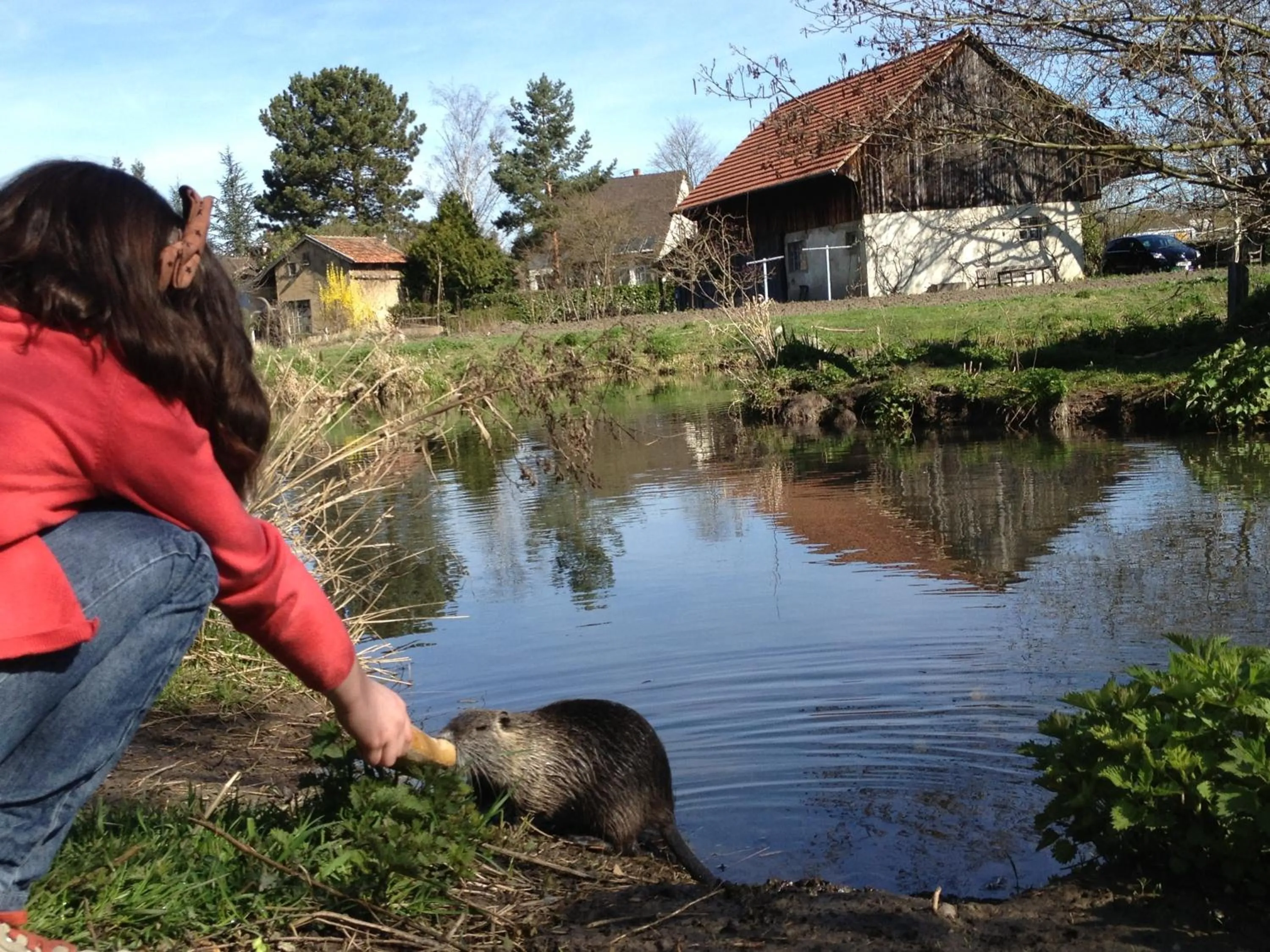 Area and facilities in Villa Élyane