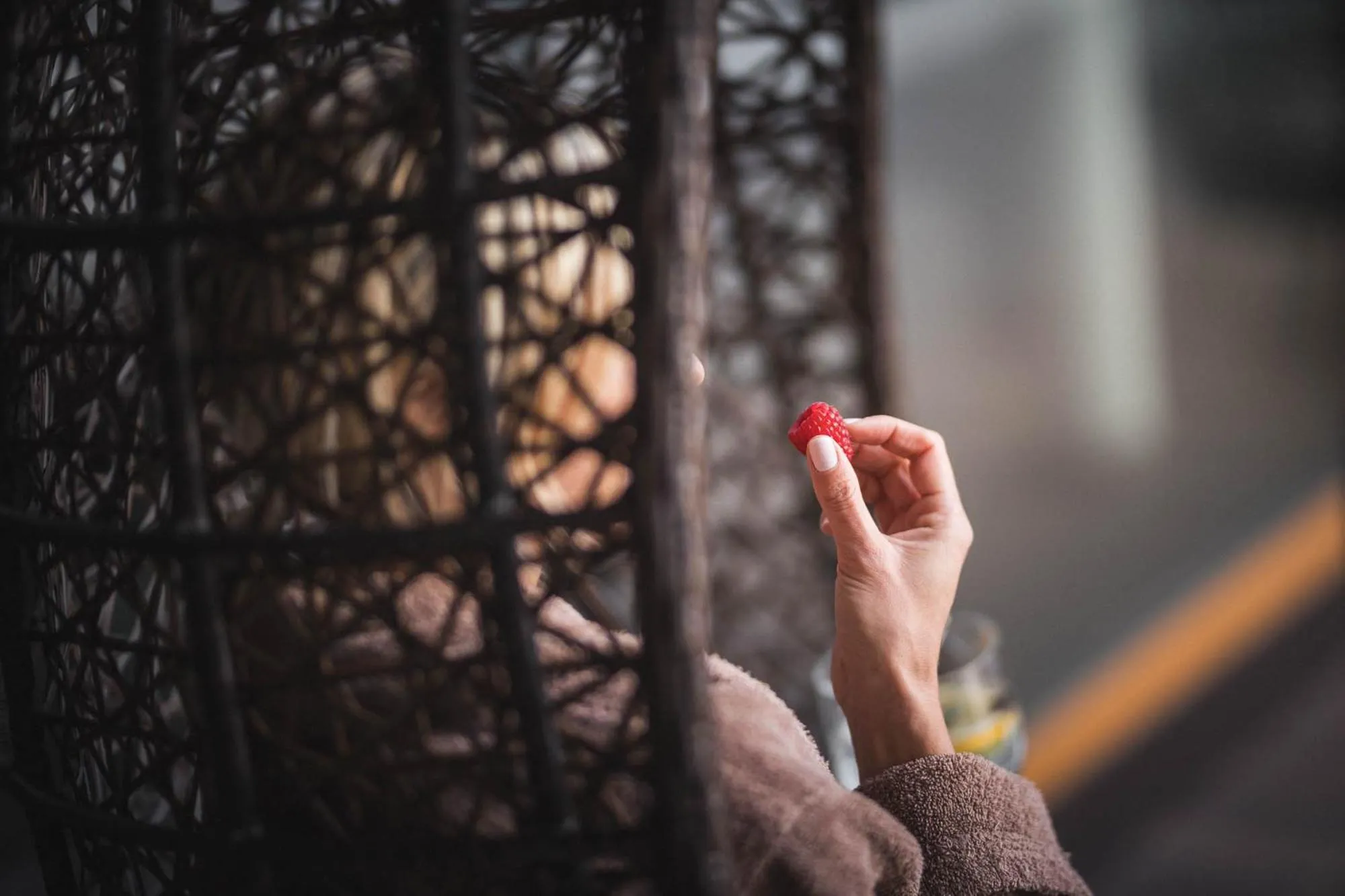 Food close-up in Terentnerhof 4*S active & lifestyle hotel