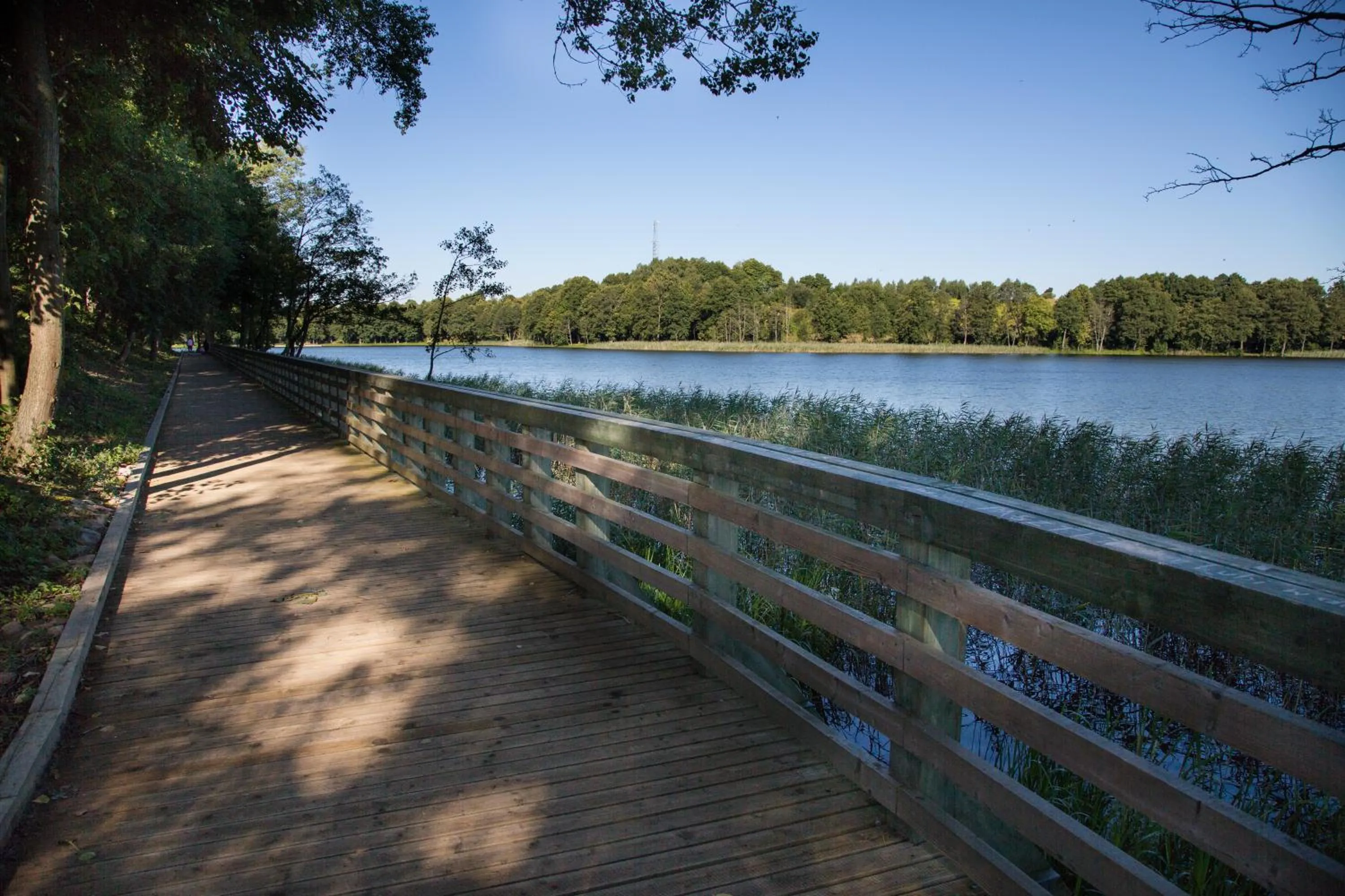 Area and facilities in Gościniec Ryński Młyn