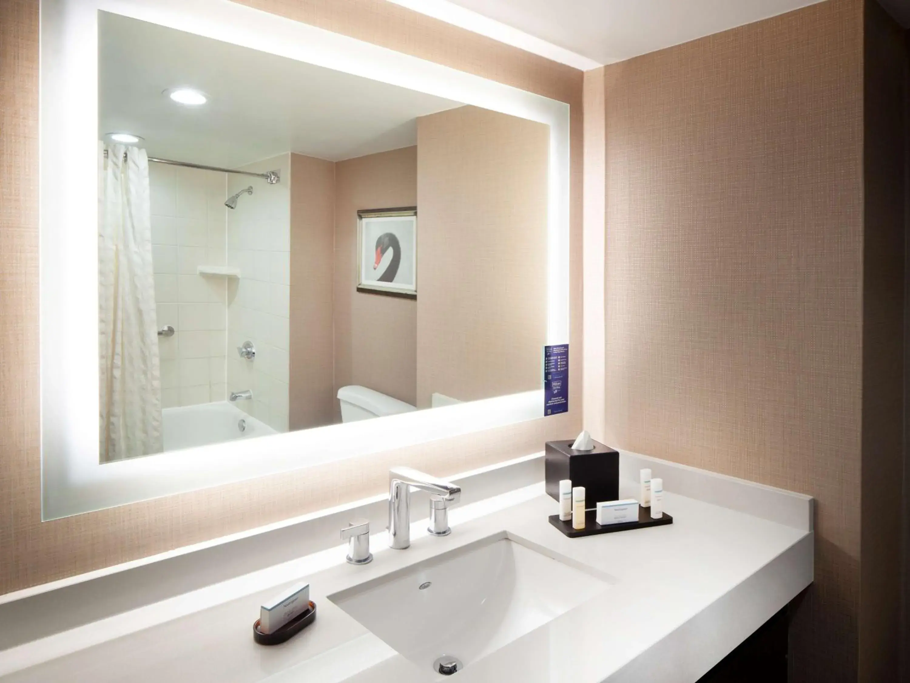 Corner Suite with Two Double Beds in Embassy Suites by Hilton Houston Near the Galleria Corner Suite with Two Double Beds in Embassy Suites by Hilton Houston Near the Galleria