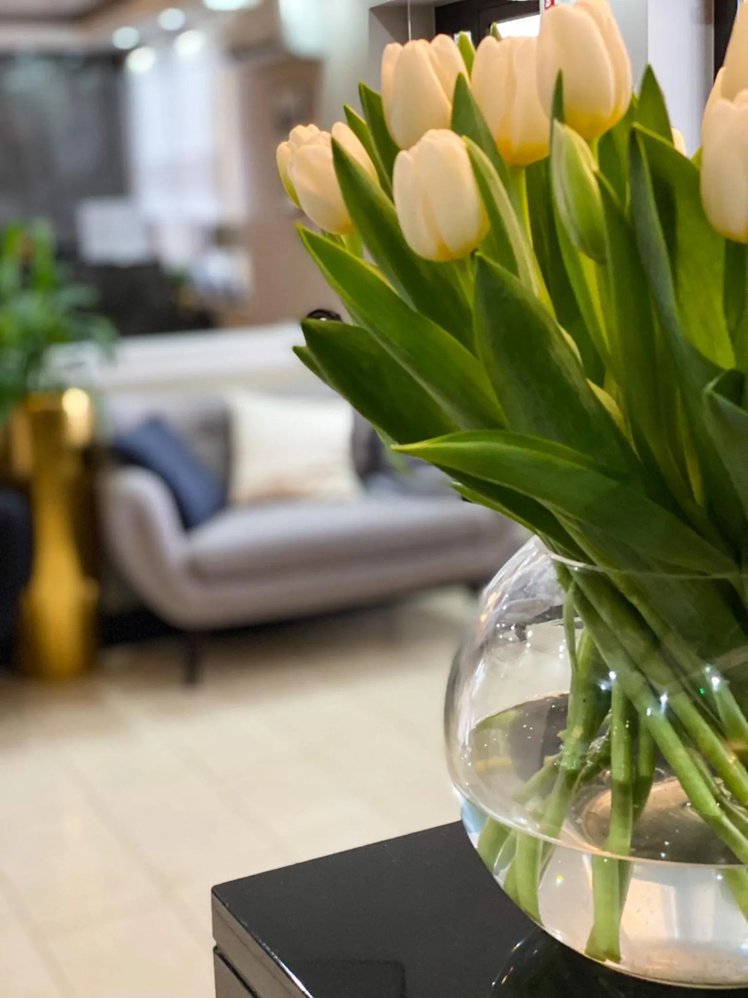 Miejsca noclegowe i Restauracja Kamiński