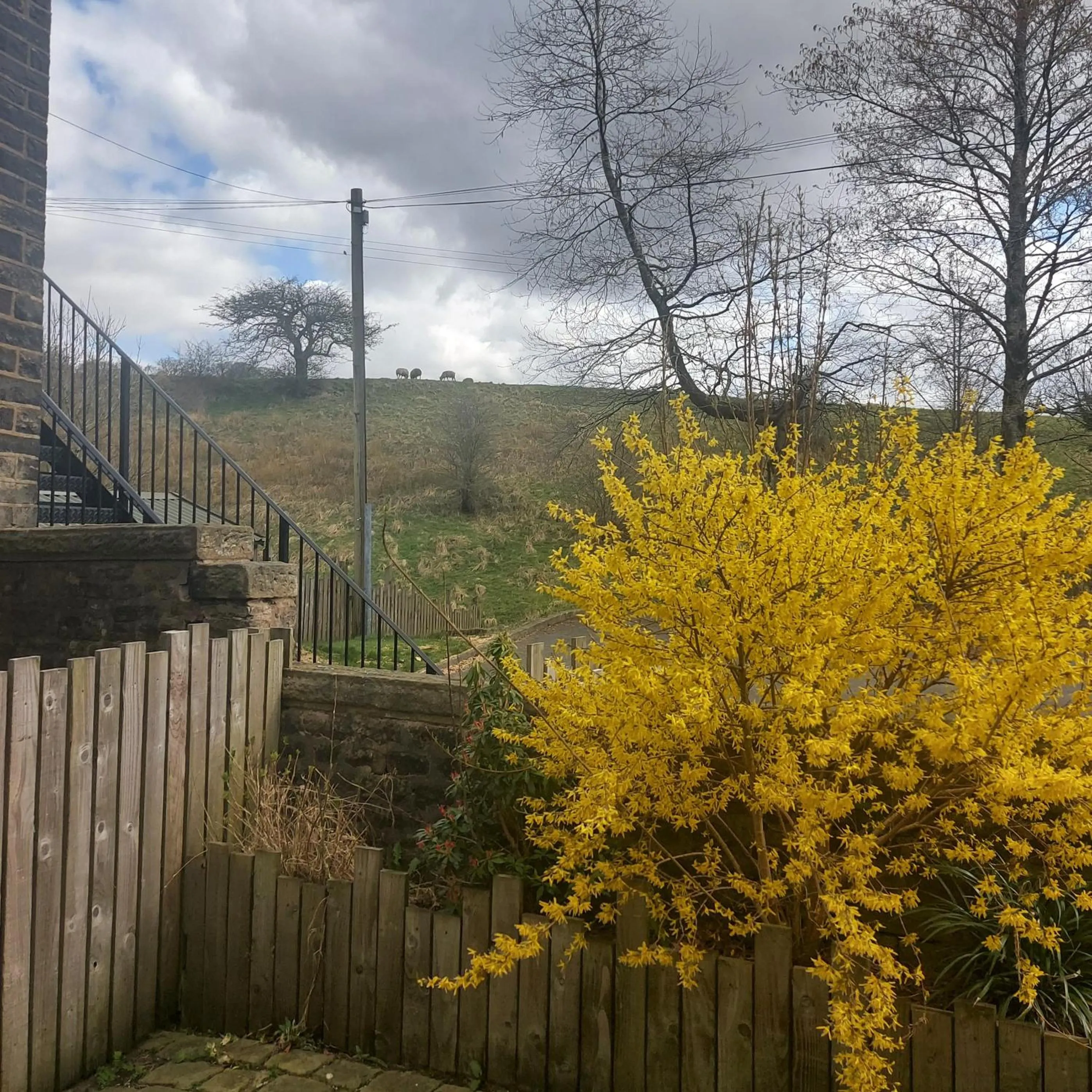 View (from property/room) in Trawden Arms Community Owned Pub