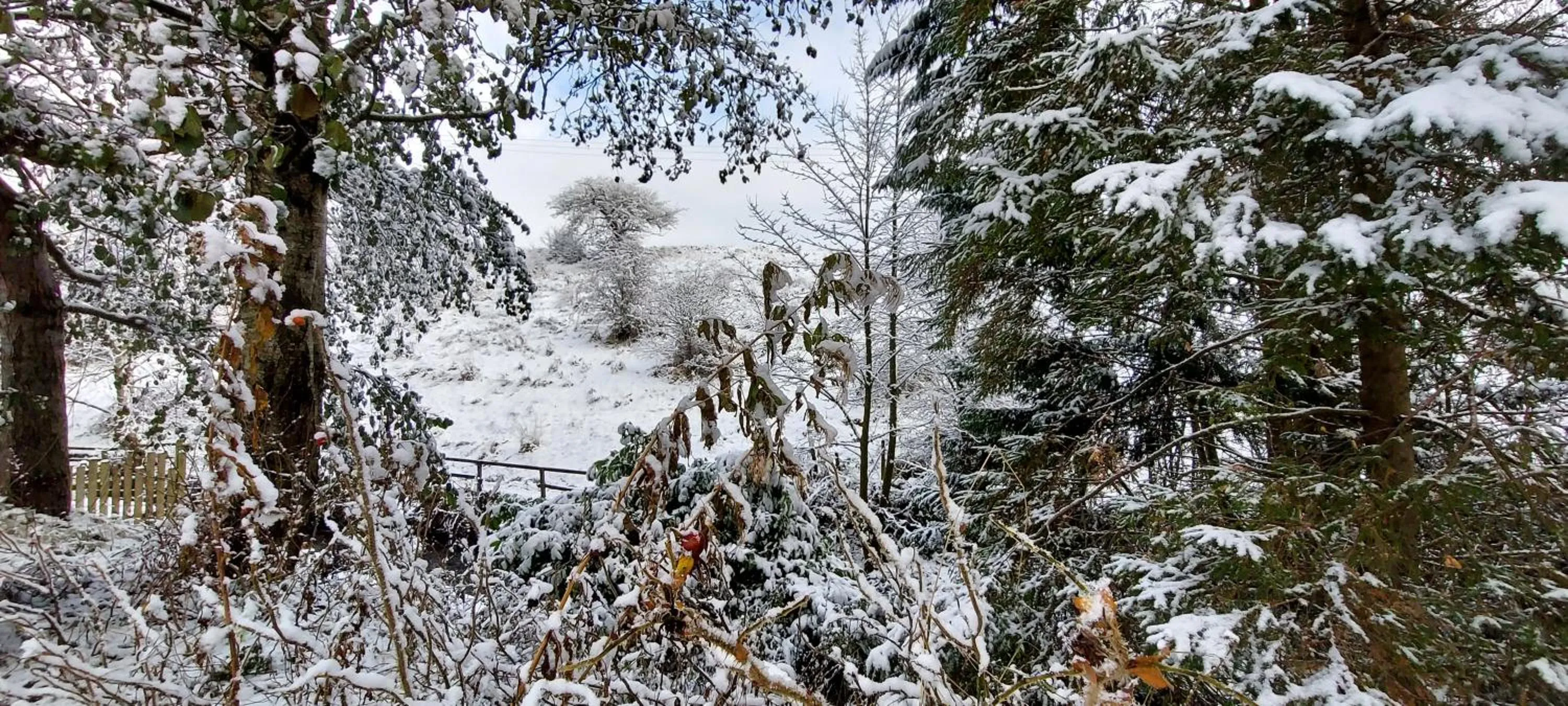 Natural landscape in Trawden Arms Community Owned Pub