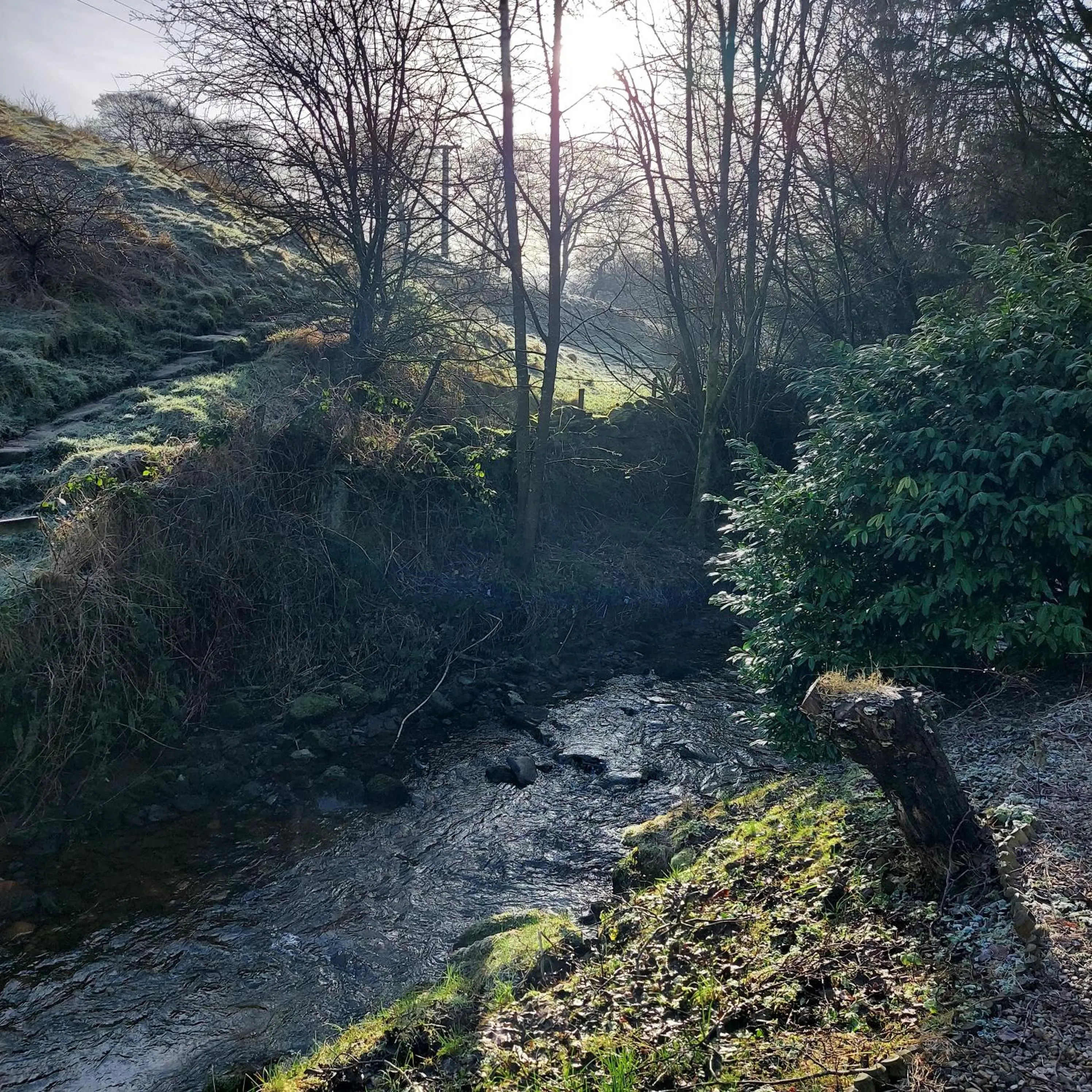 Natural landscape in Trawden Arms Community Owned Pub