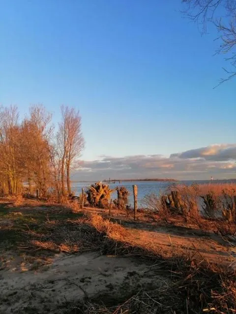 Natural landscape in Fährhaus Kollmar