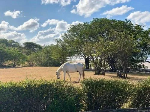 Punta Teonoste Beach Resort