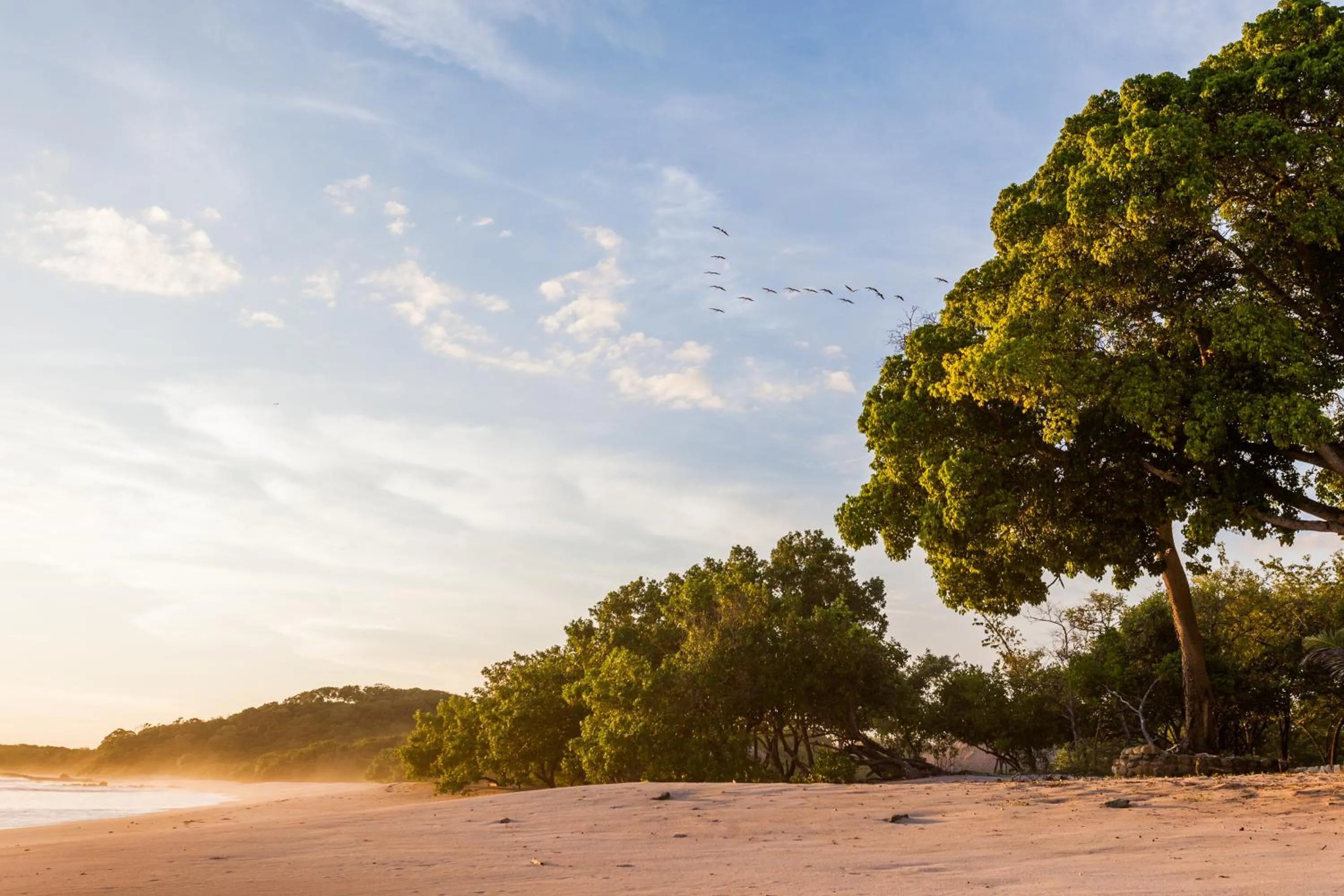 Beach in Punta Teonoste Beach Resort