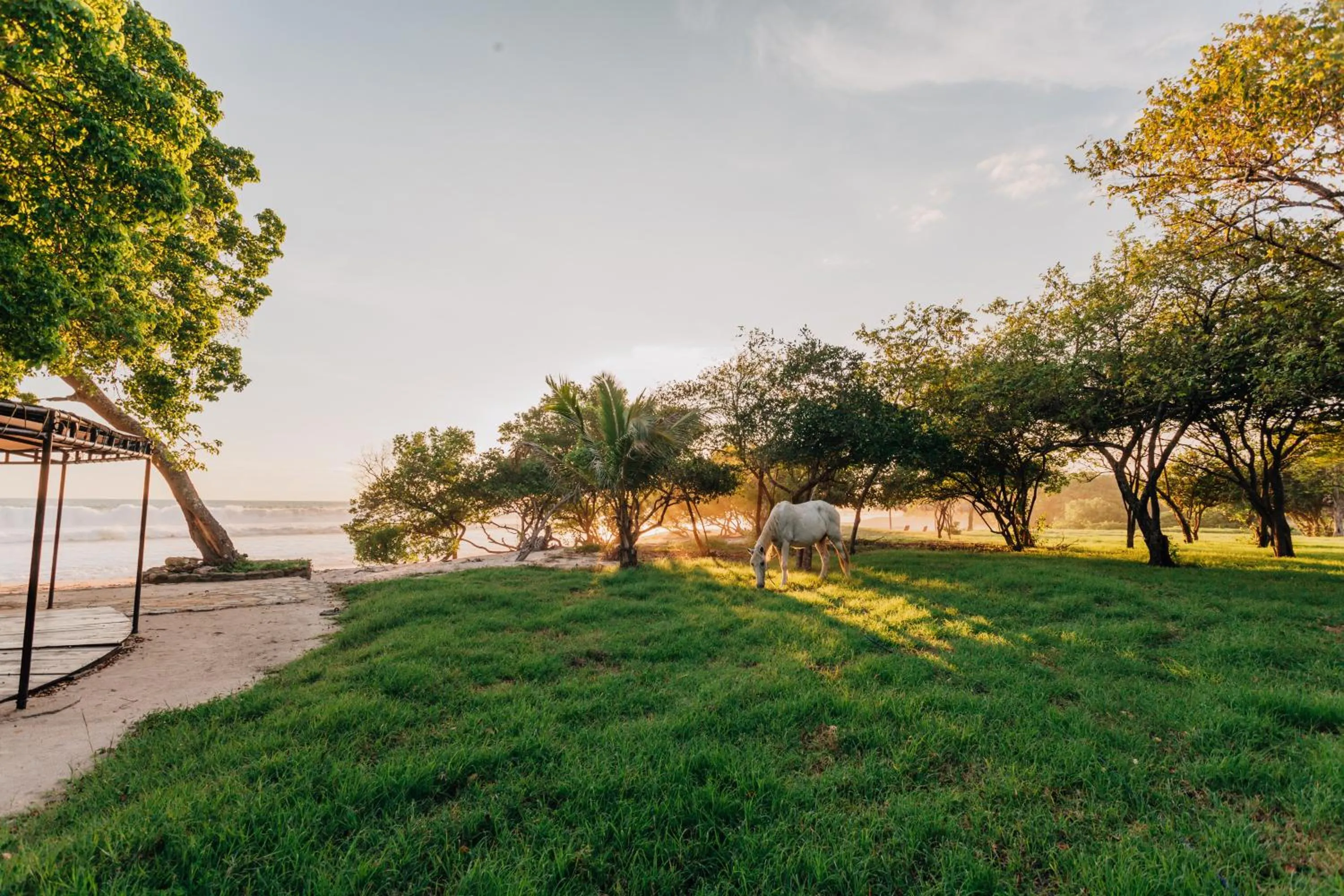 Patio in Punta Teonoste Beach Resort