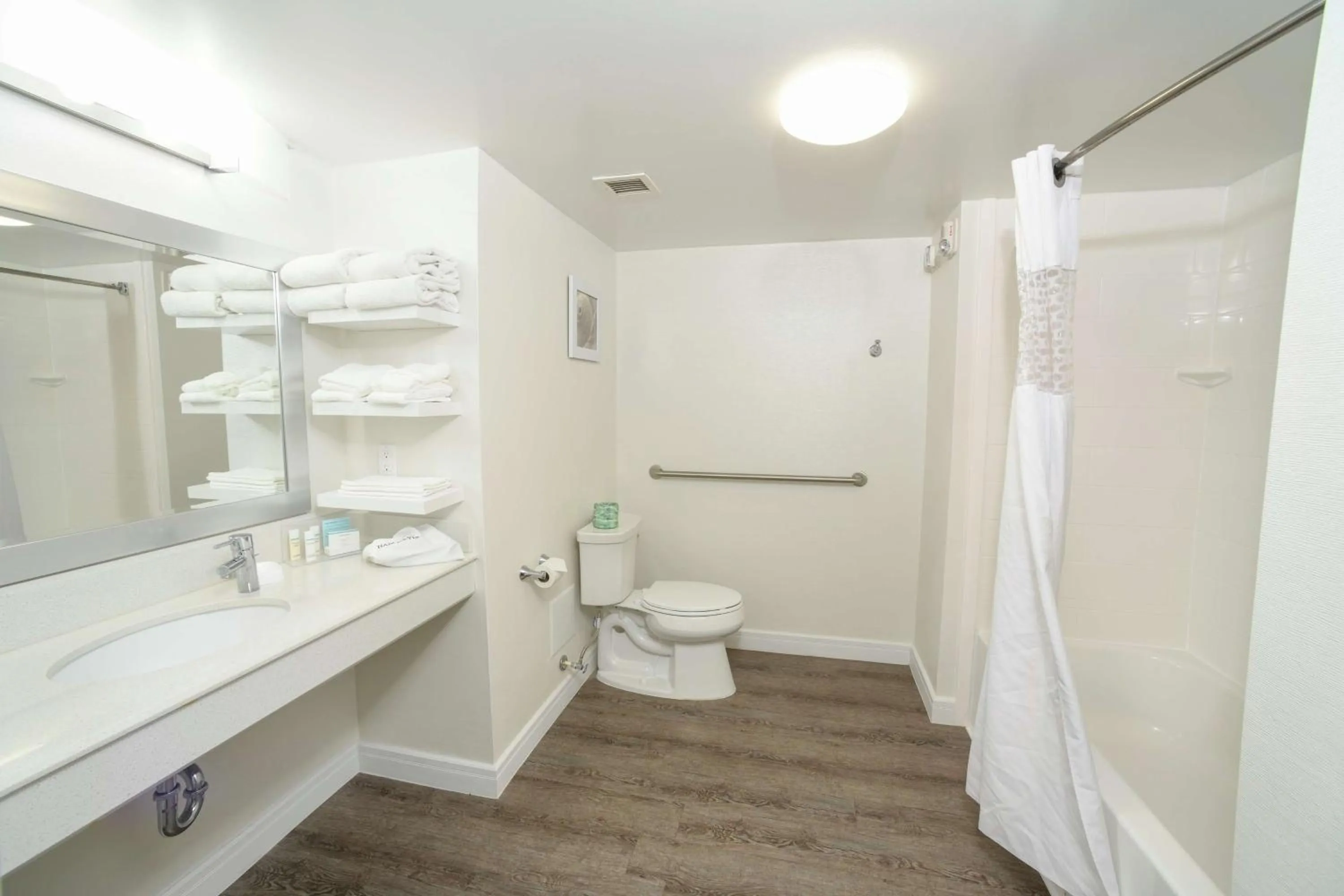 Bathroom in Hampton Inn Jacksonville - East Regency Square