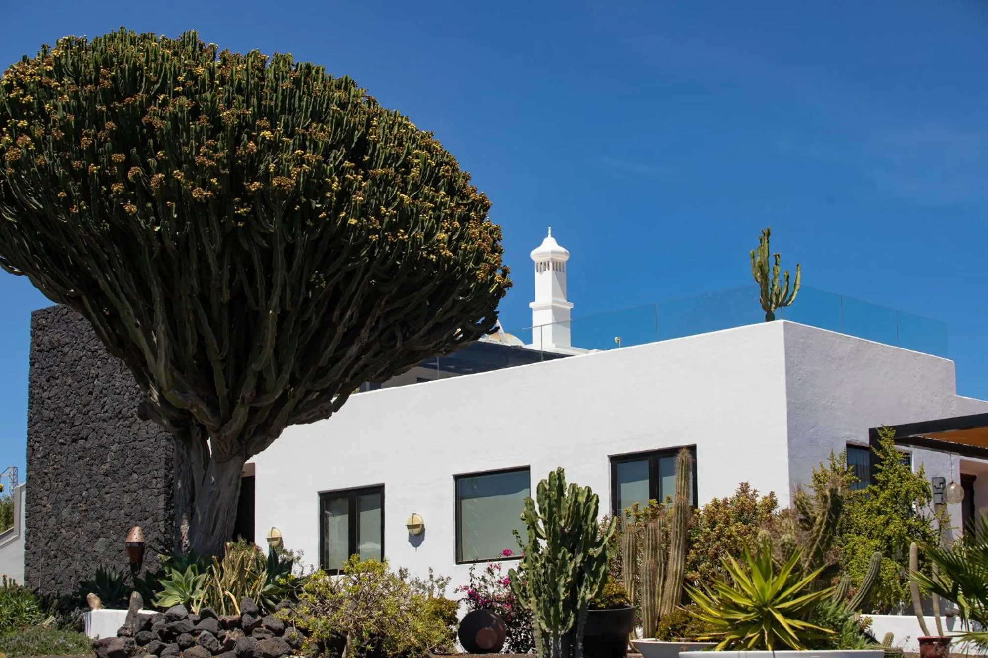 Garden in 5 Suites Lanzarote