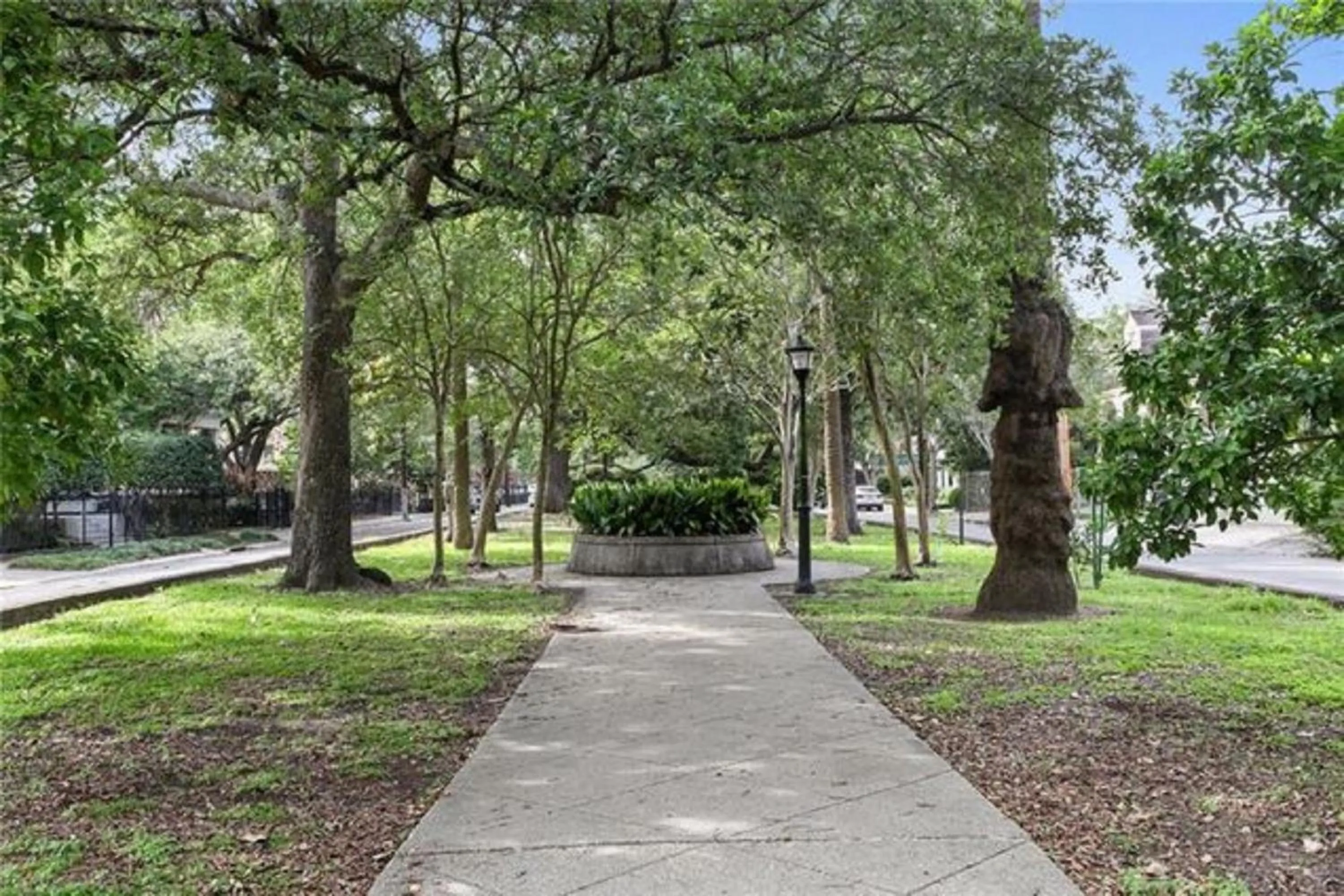 Natural landscape in Urban Oasis 4BD House close to FQ & City Hot Spots'