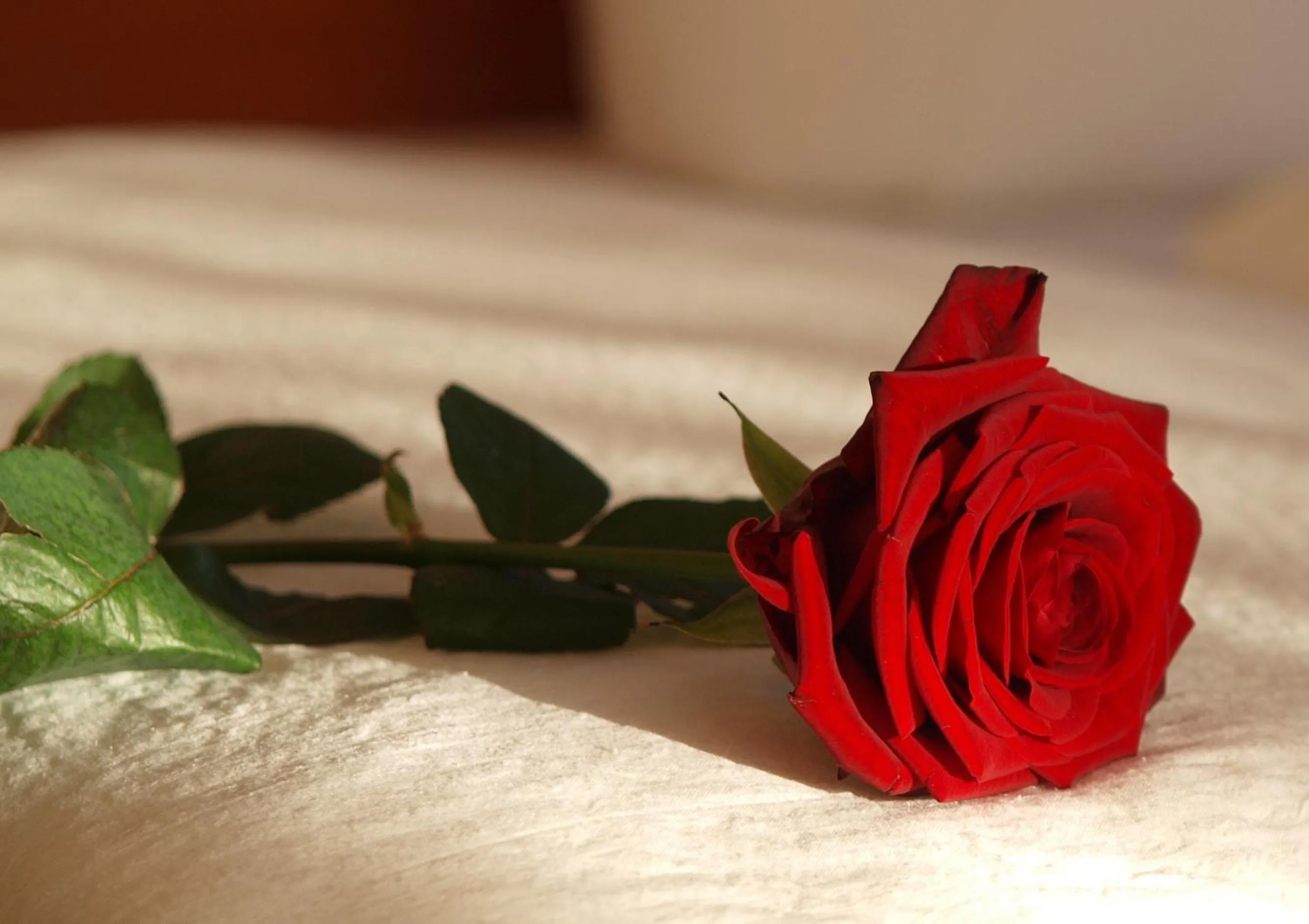 Other in Altes Doktorhaus - Hotel Garni