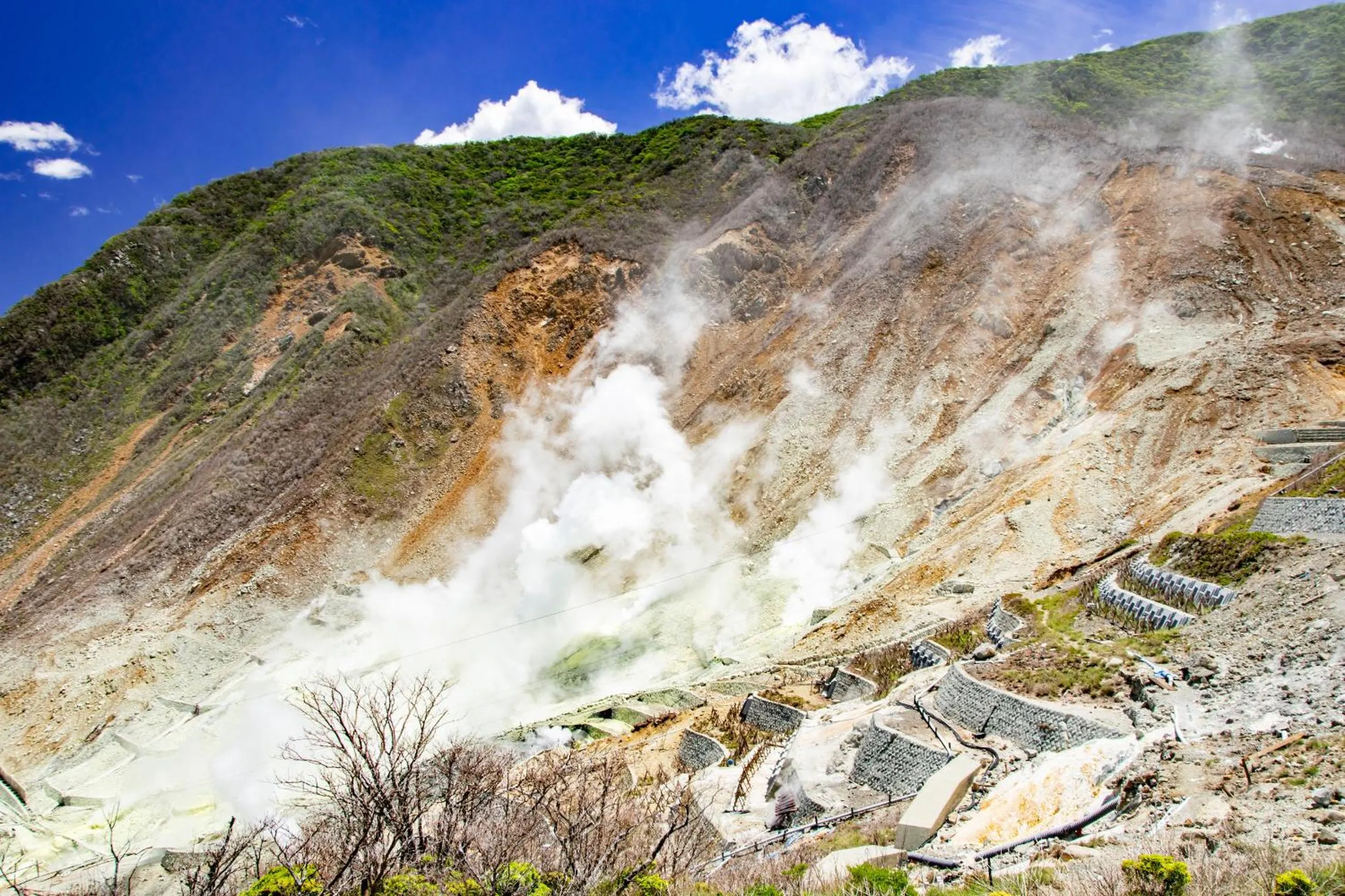 Nearby landmark in Oku Yugawara Tsubaki