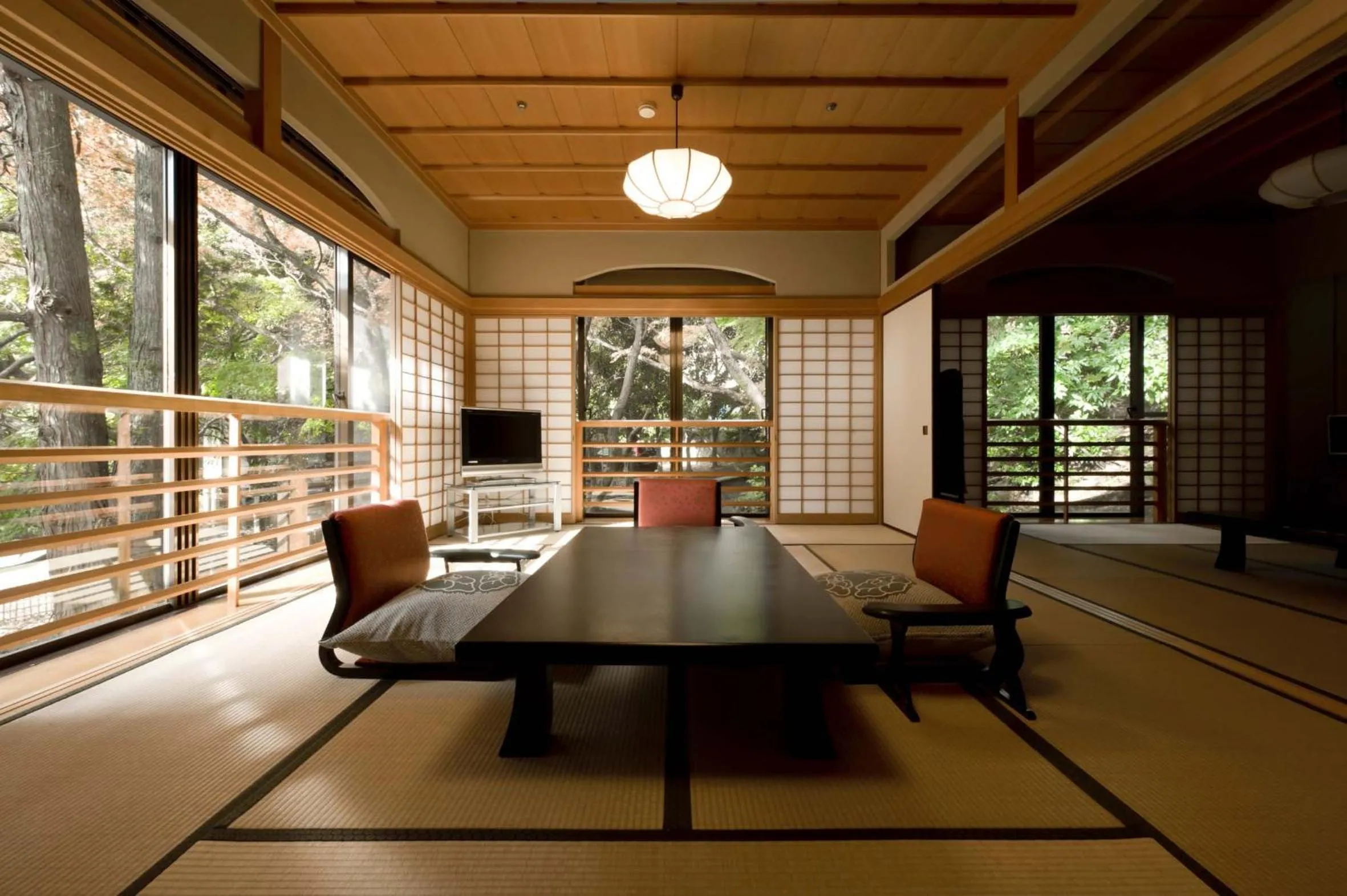 TV and multimedia in Oku Yugawara Tsubaki