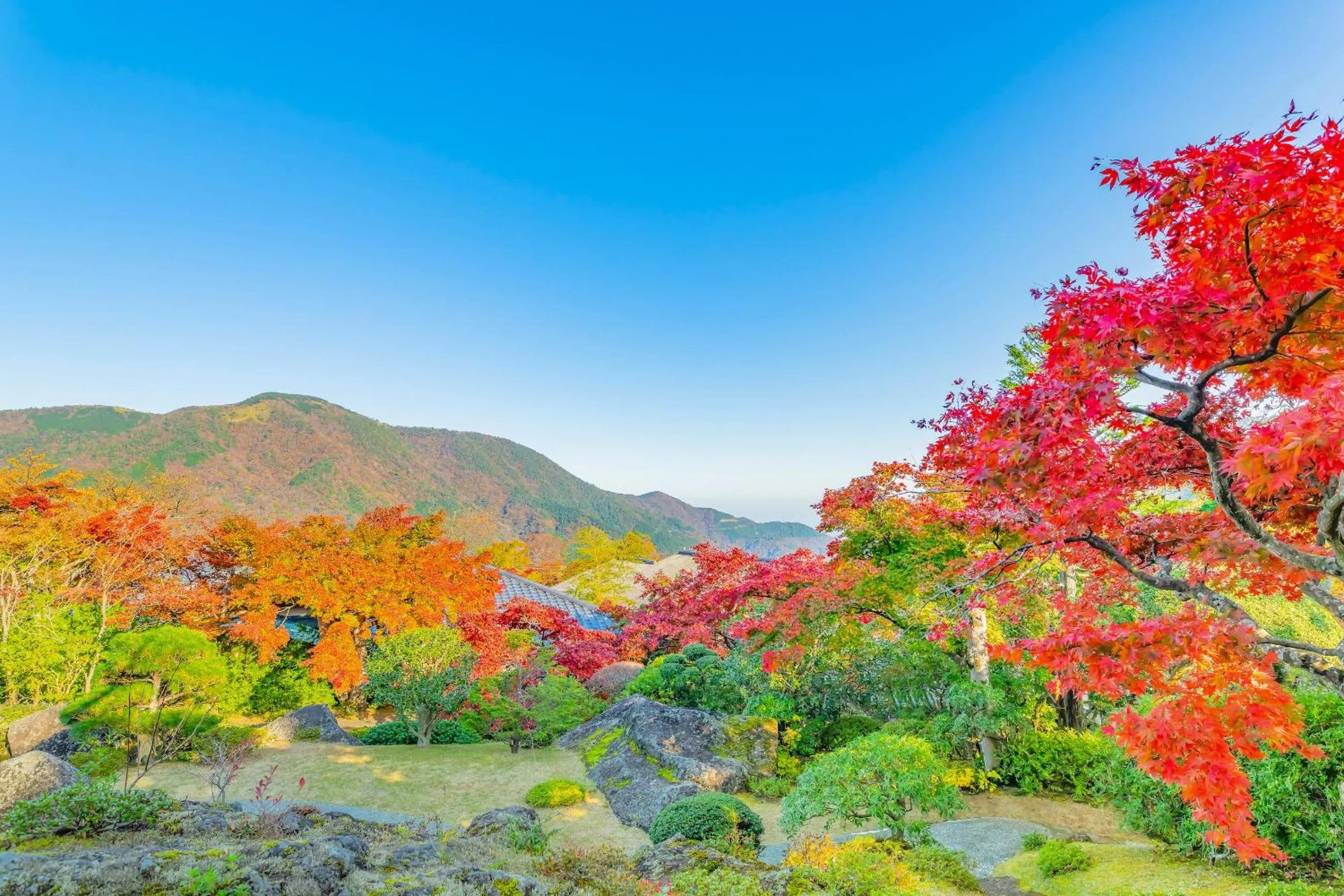 Nearby landmark in Oku Yugawara Tsubaki