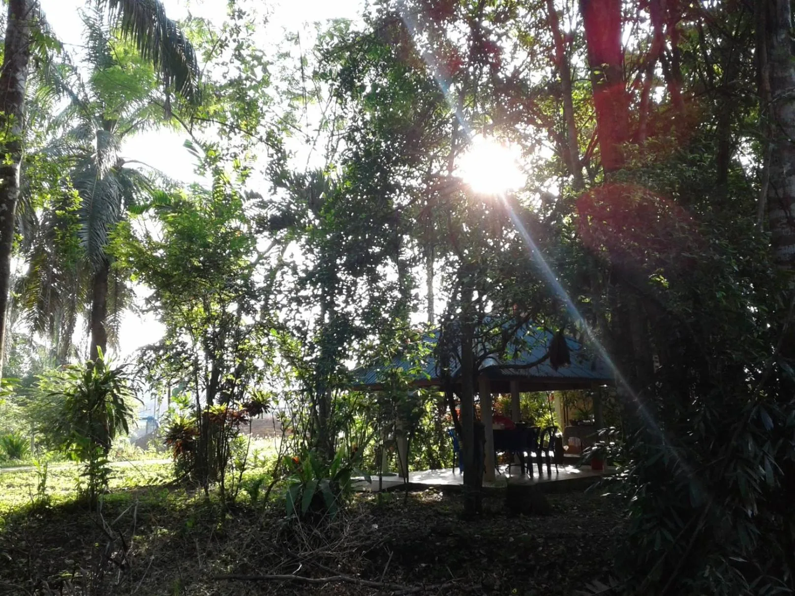 Suan Bang Bon Guest House