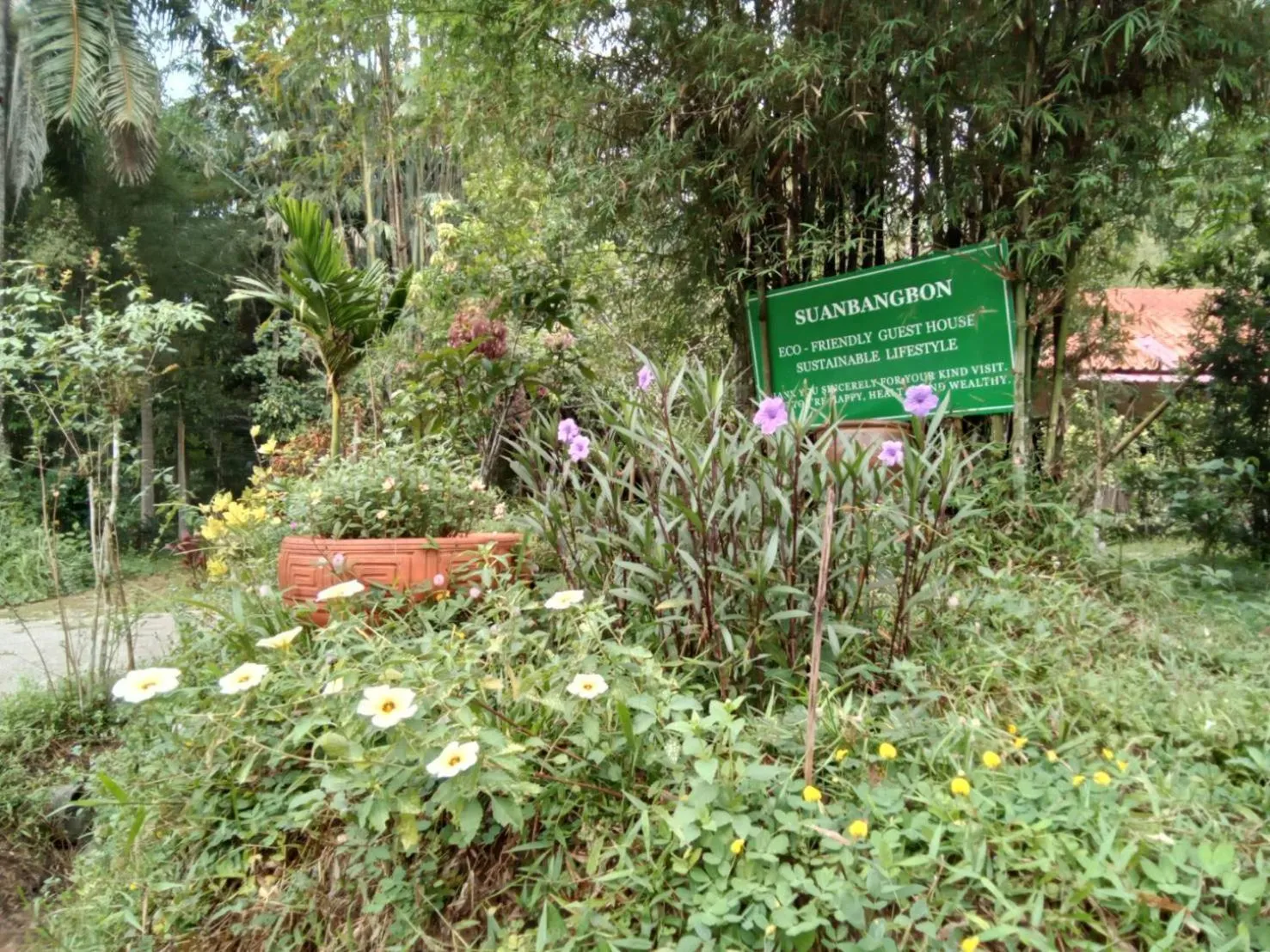 Suan Bang Bon Guest House