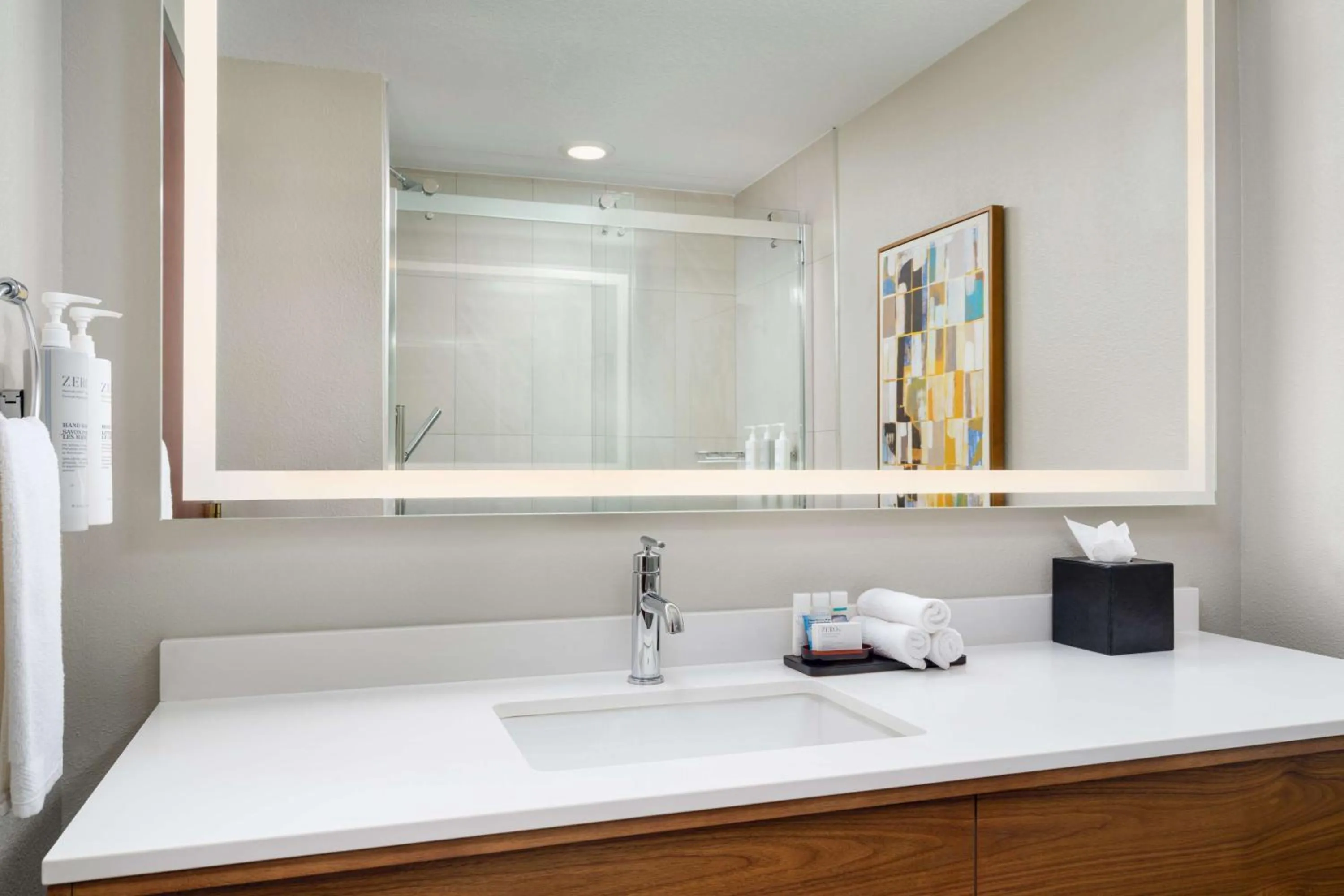 Bathroom in Embassy Suites Lincoln