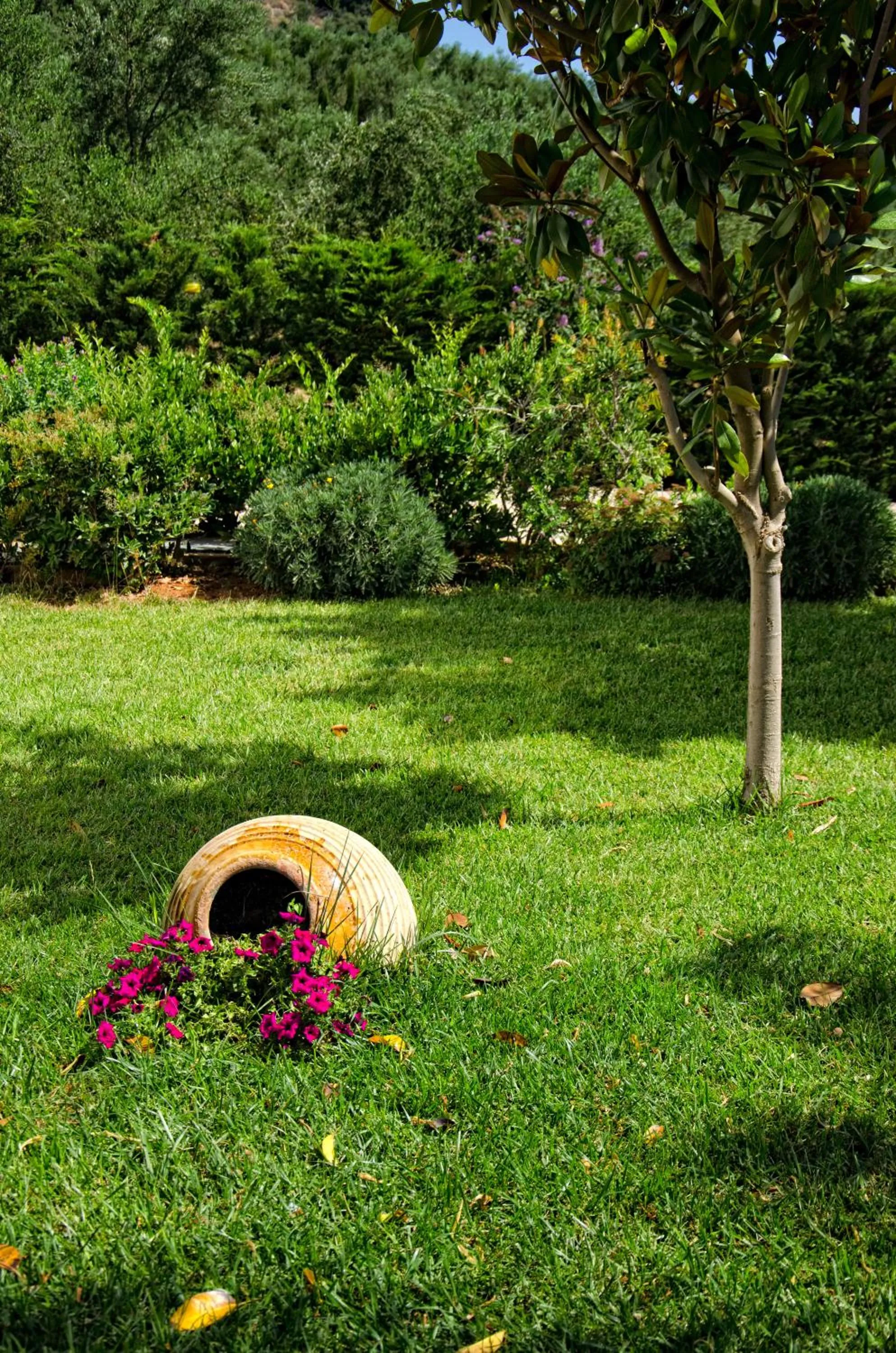 Facade/entrance in Colonides Beach Hotel