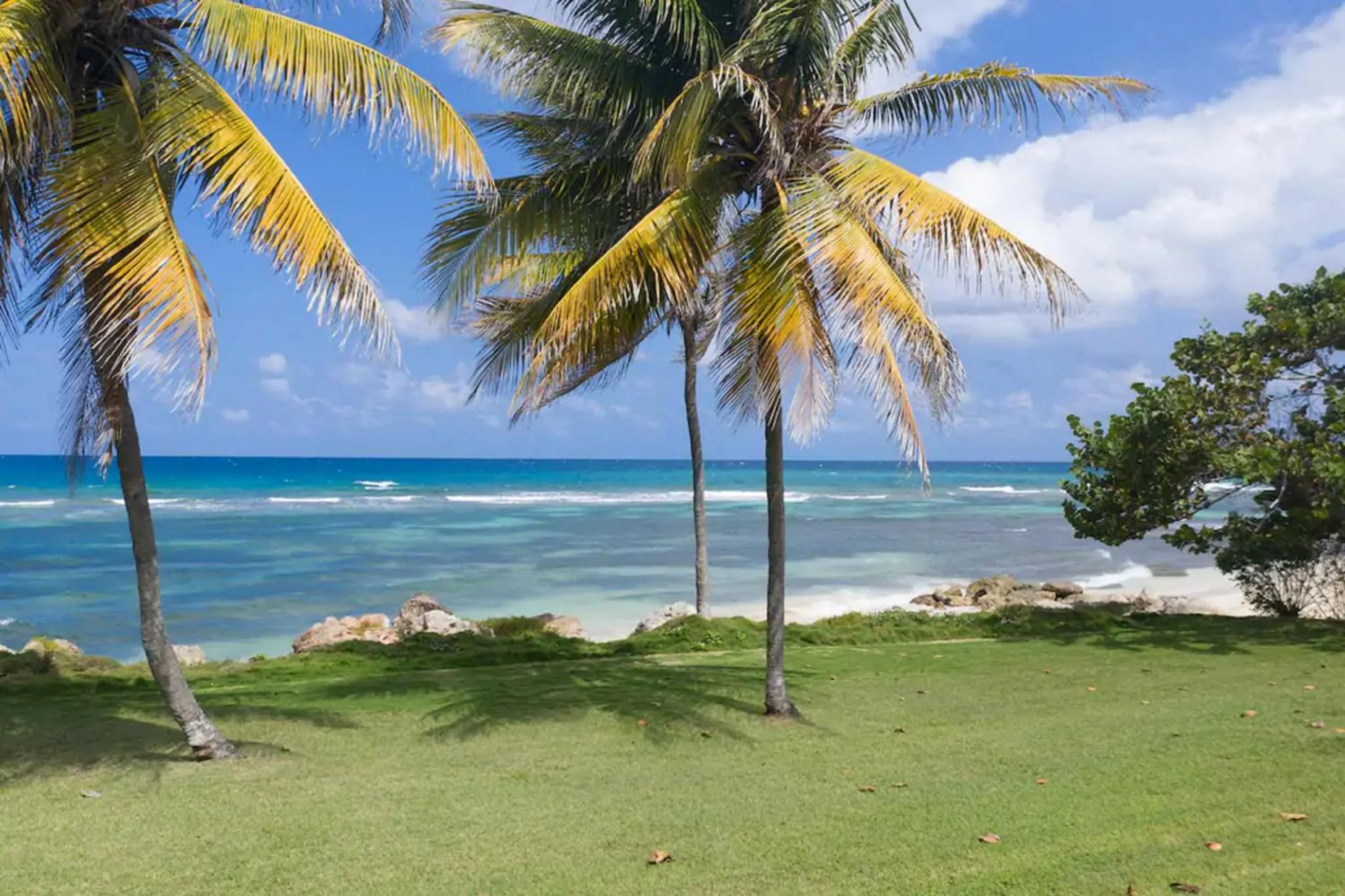 Area and facilities in Magnificent 5-Bedroom Estate Villa, Sleeps 12