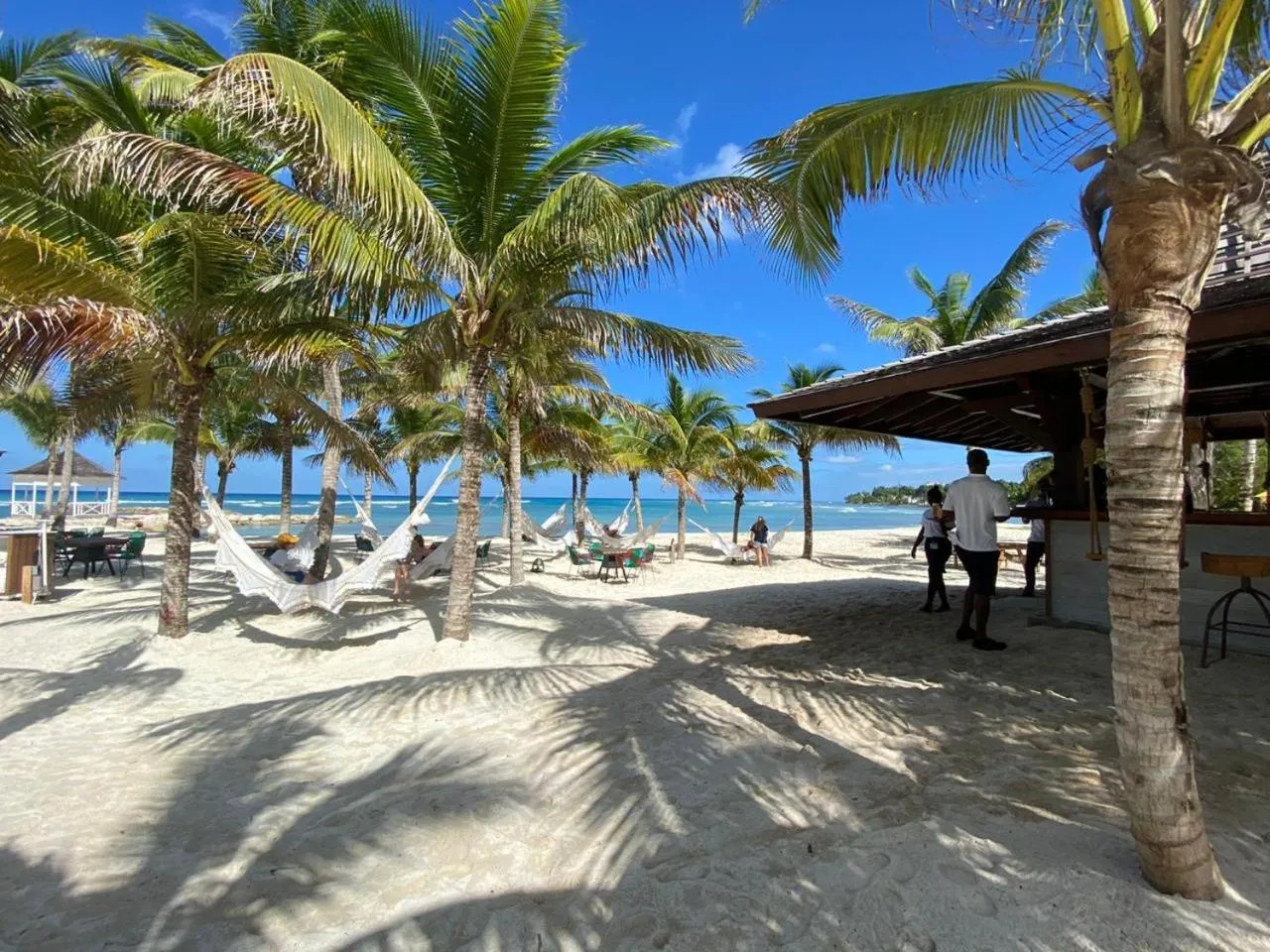 Beach in Magnificent 5-Bedroom Estate Villa, Sleeps 12