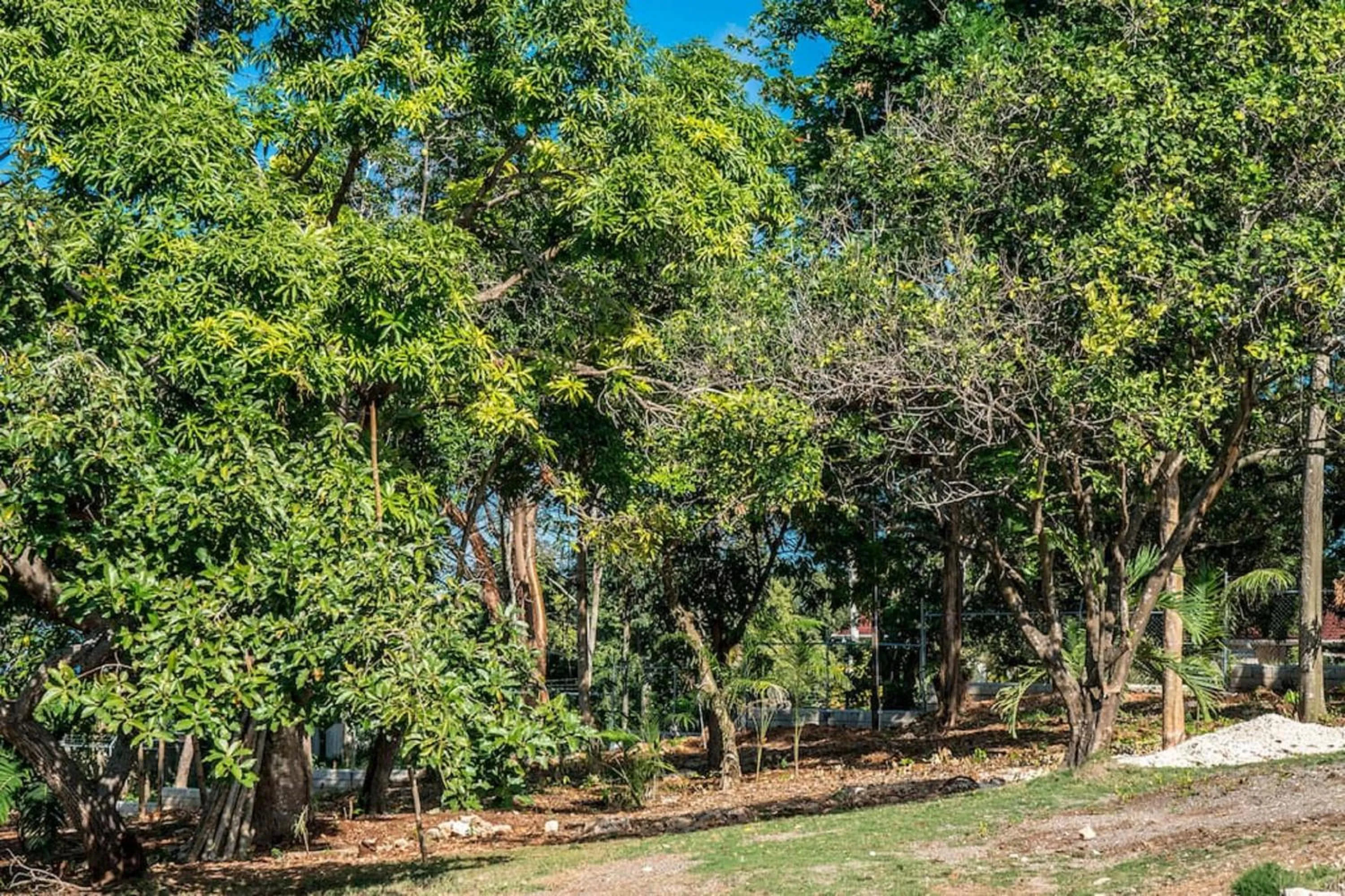 Garden in Magnificent 5-Bedroom Estate Villa, Sleeps 12