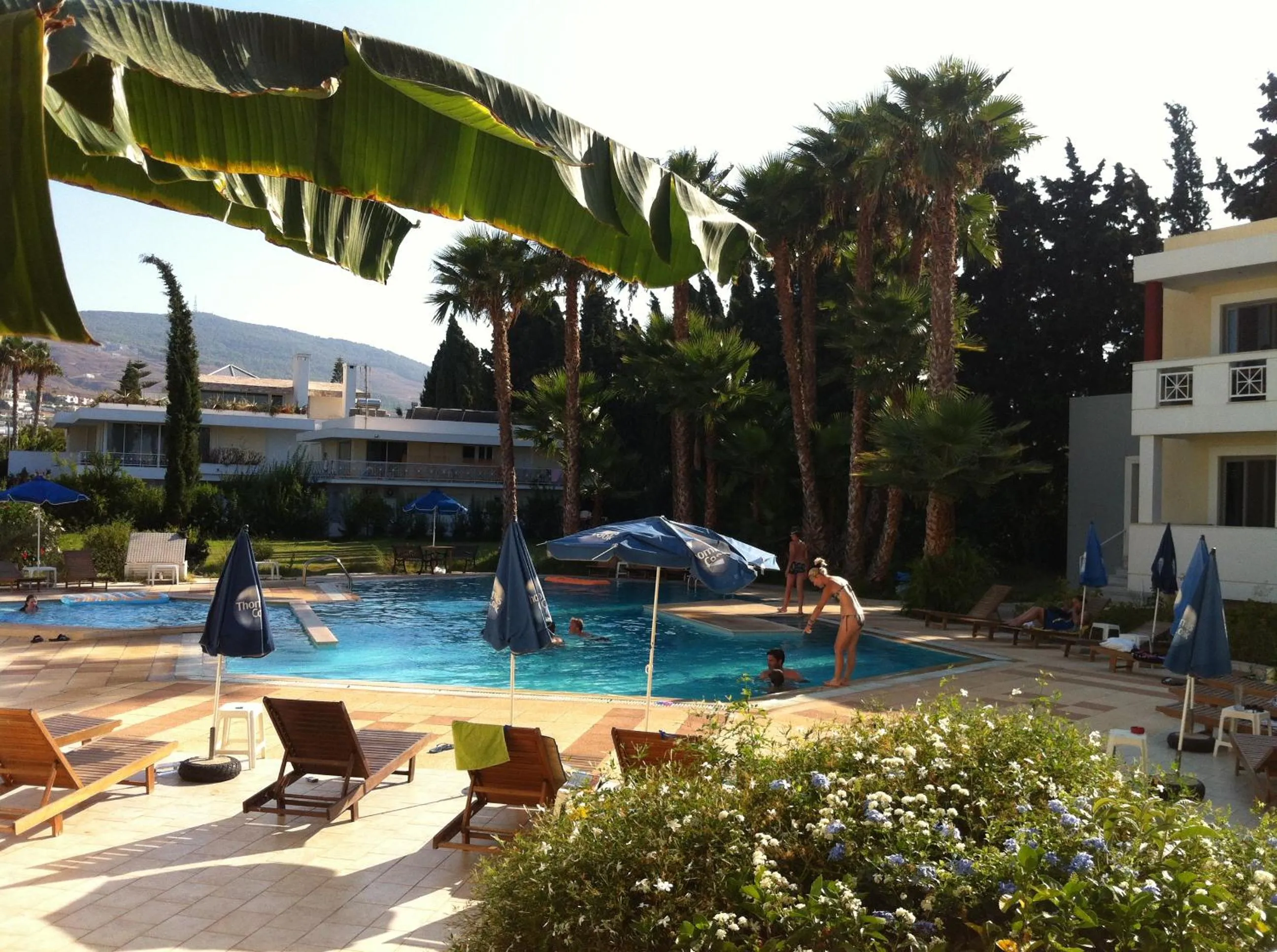 Swimming pool in Olgas Paradise Apartments
