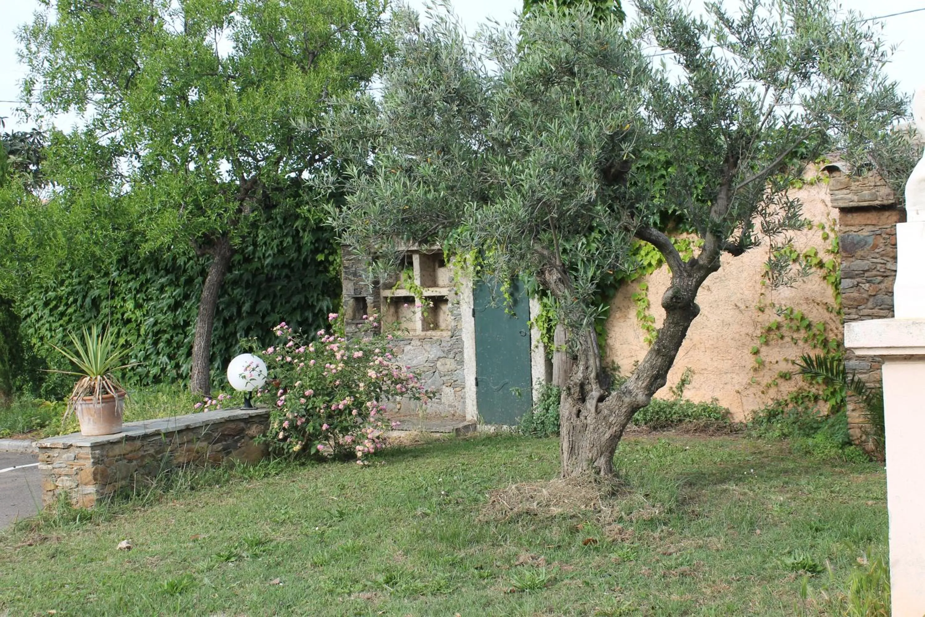 Garden in Domaine Le Clos des Oliviers
