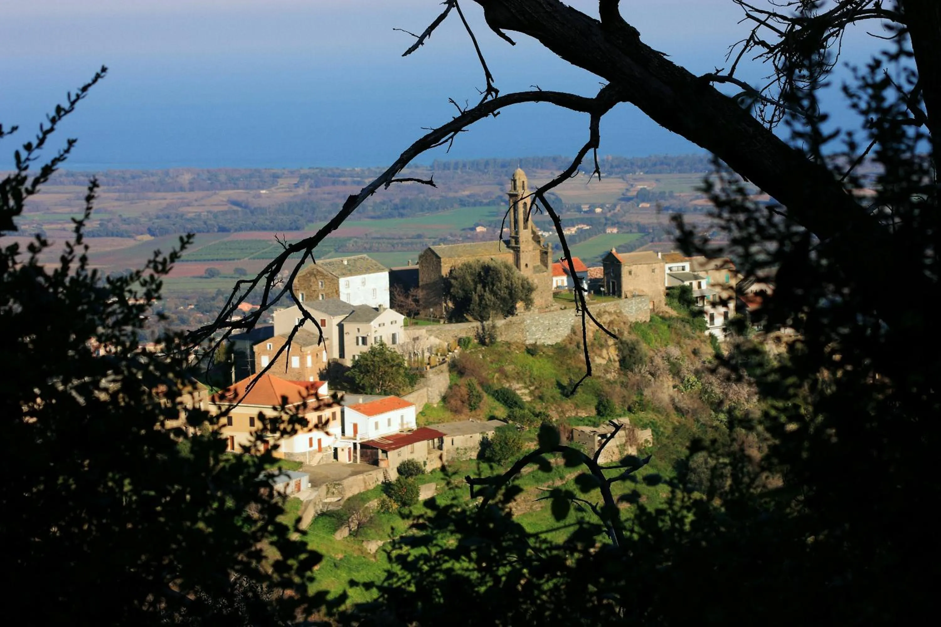 Natural landscape in Domaine Le Clos des Oliviers